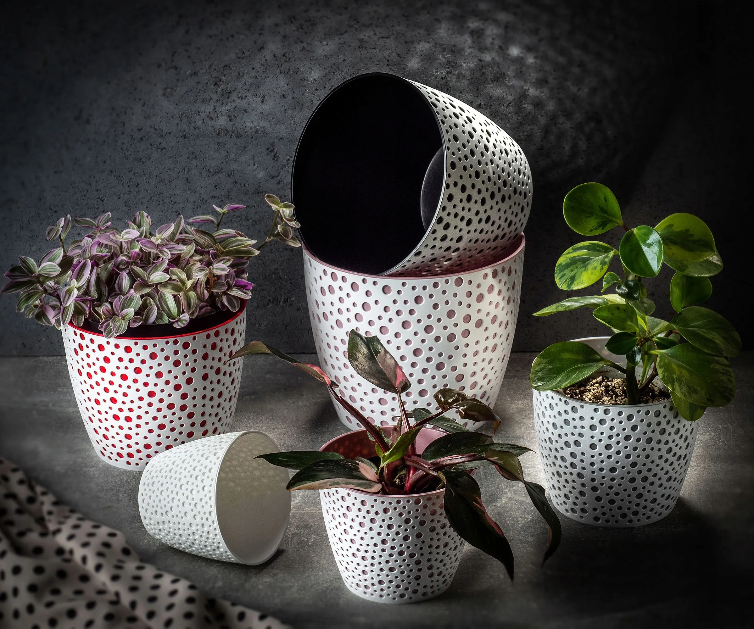 Casini gėlių vazonas 13 cm