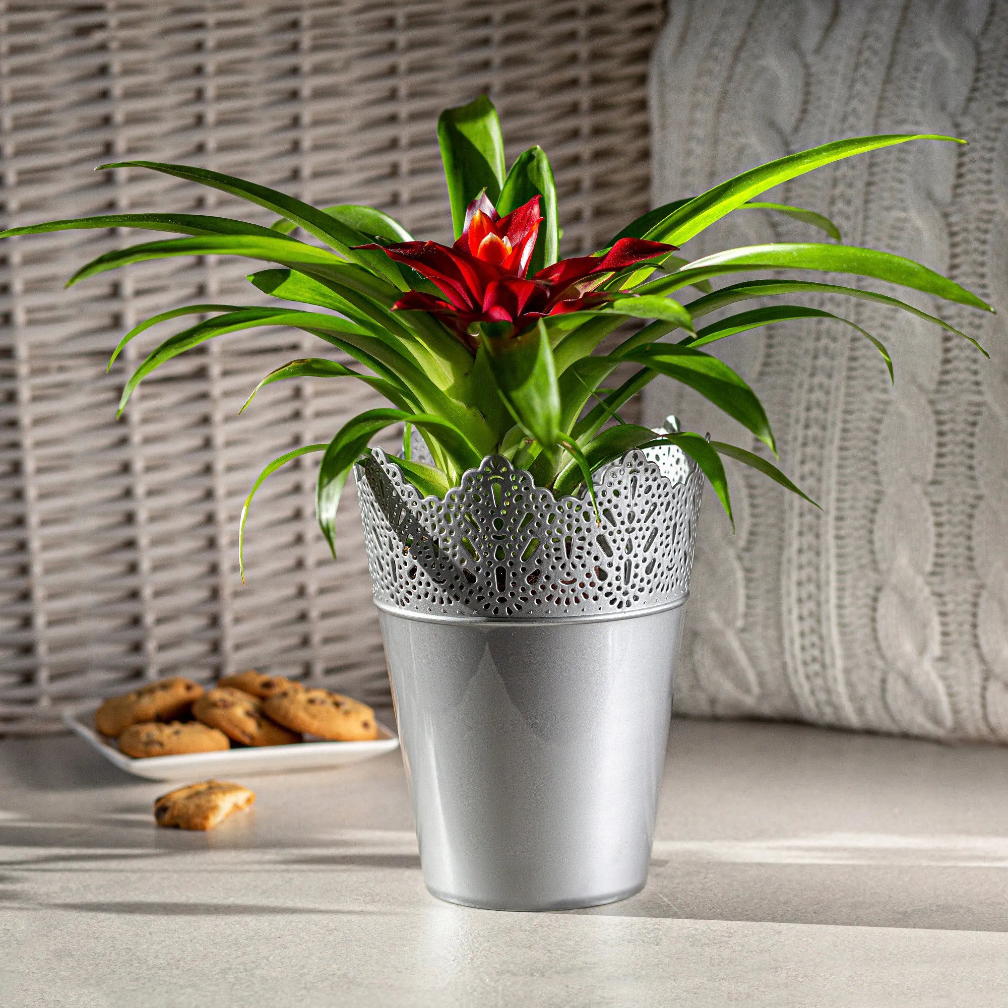 Calade gėlių vazonas su nėriniais 12 x 15 cm