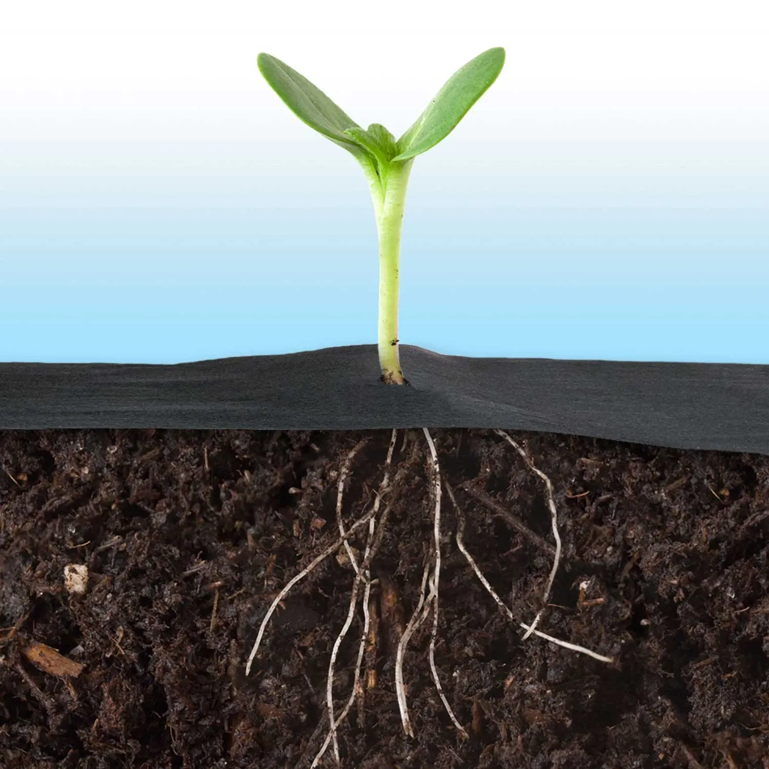 Sodo agrotekstilė 0,8 m x 50 m + 50 Plonos smeigtukai - nuotrauka 1