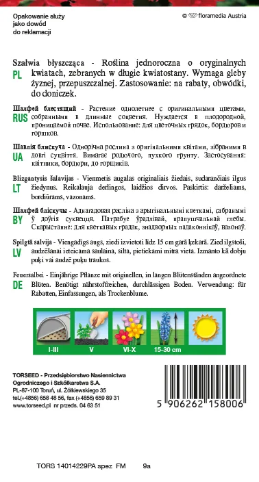 Blizgusis šalavijas – Salvia splendens raudoni atspalviai 0,5 g