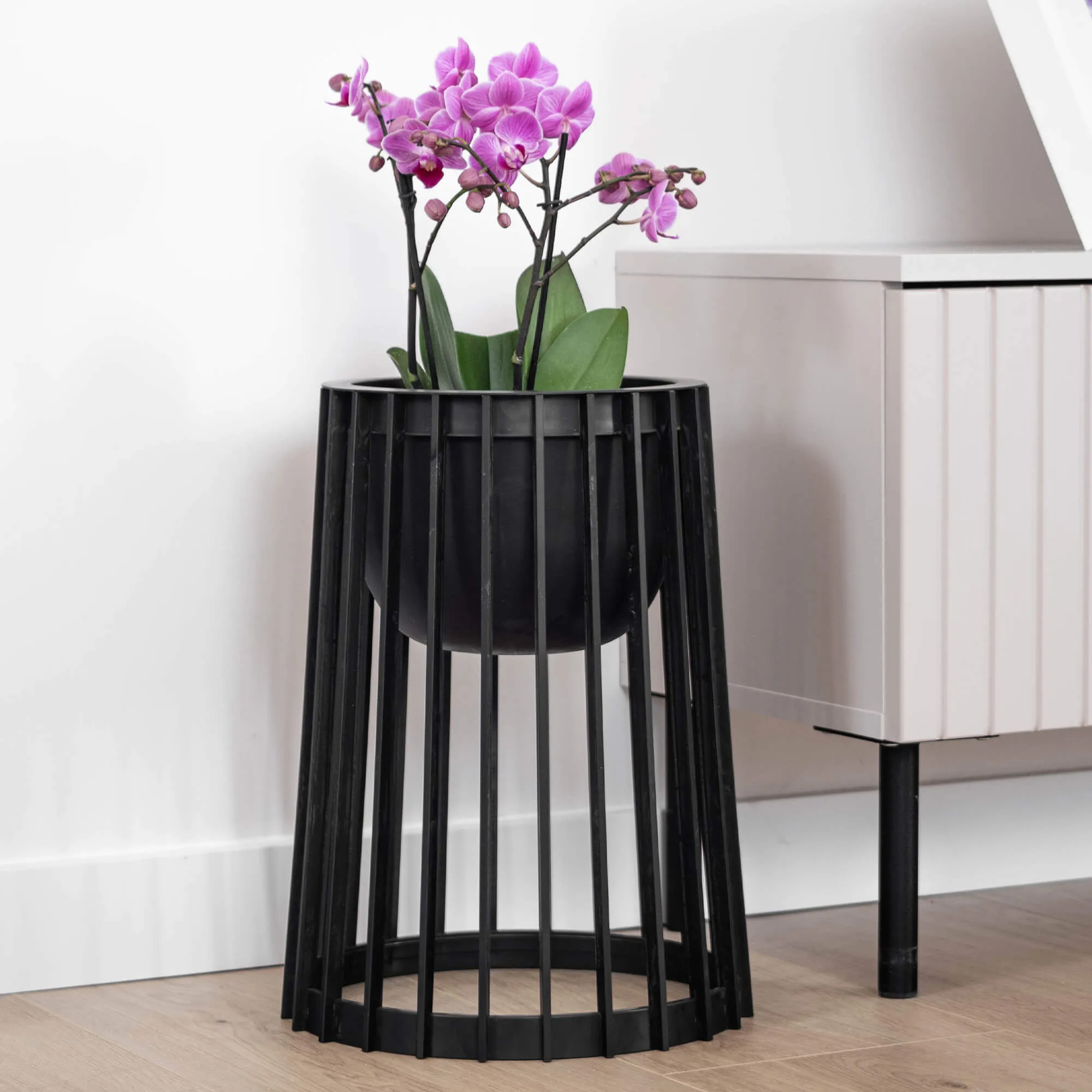 Aytre dvipusis augalų stovas 54 cm juodas + 2 įdėklai