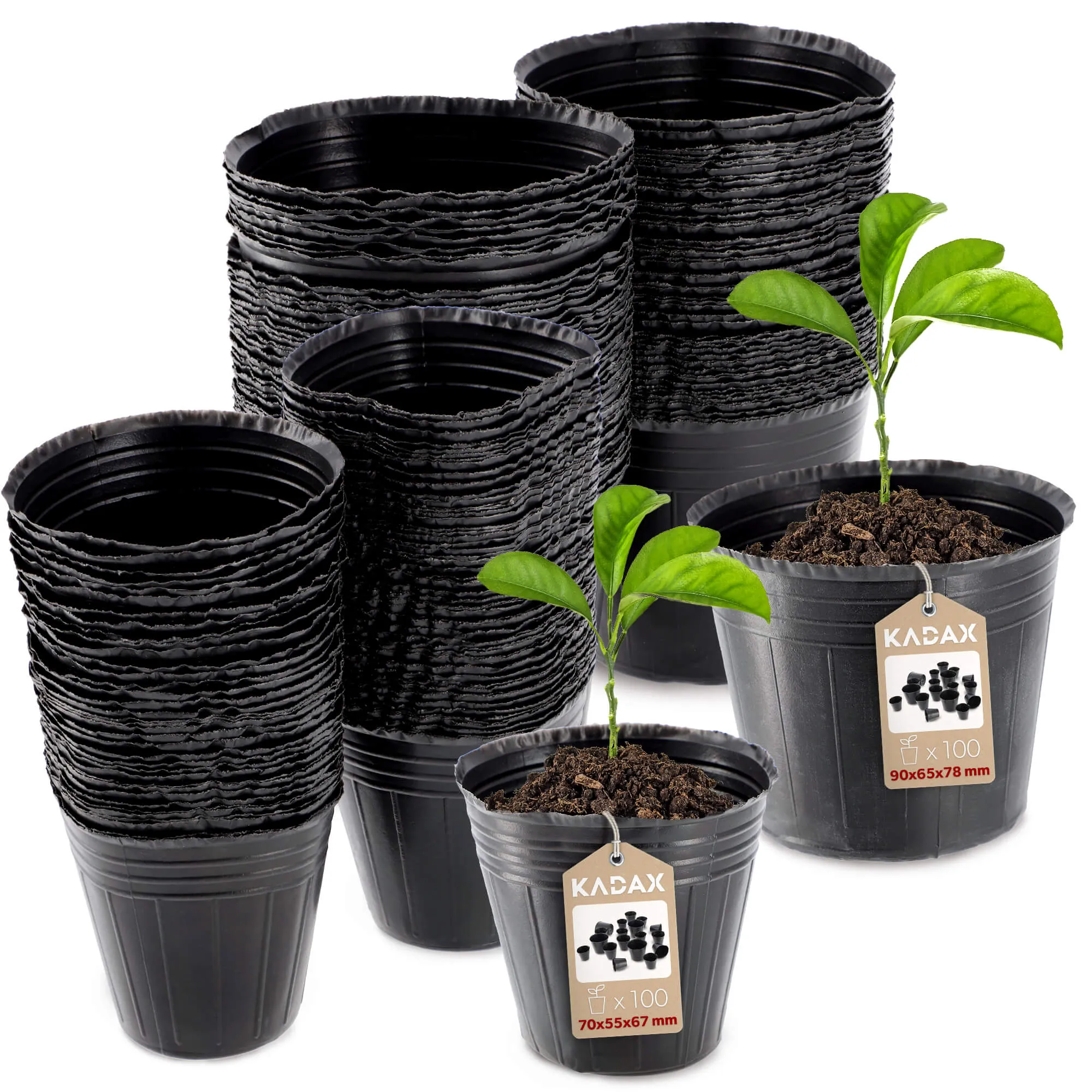 Daigų vazonėliai 7 x 7 cm + 9 x 8 cm, 200 vnt.