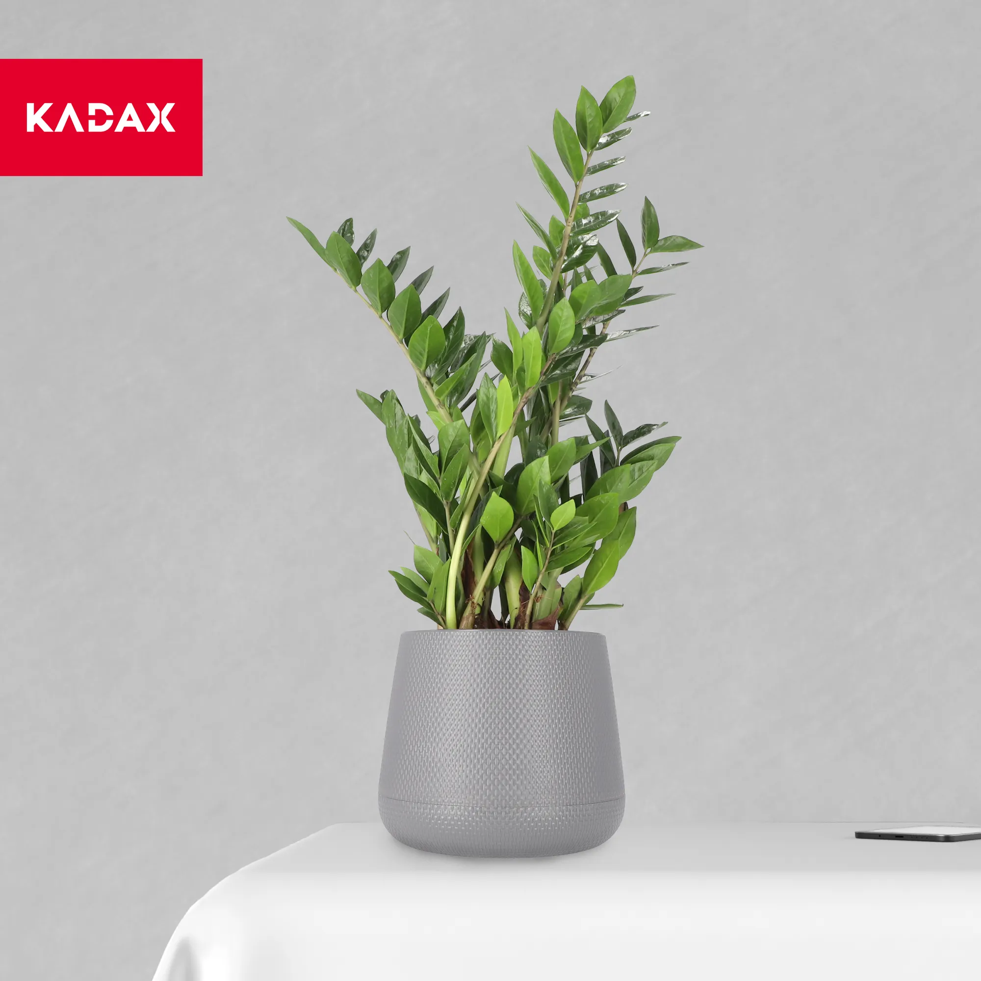 Peri vazonas su lėkštute 13 cm