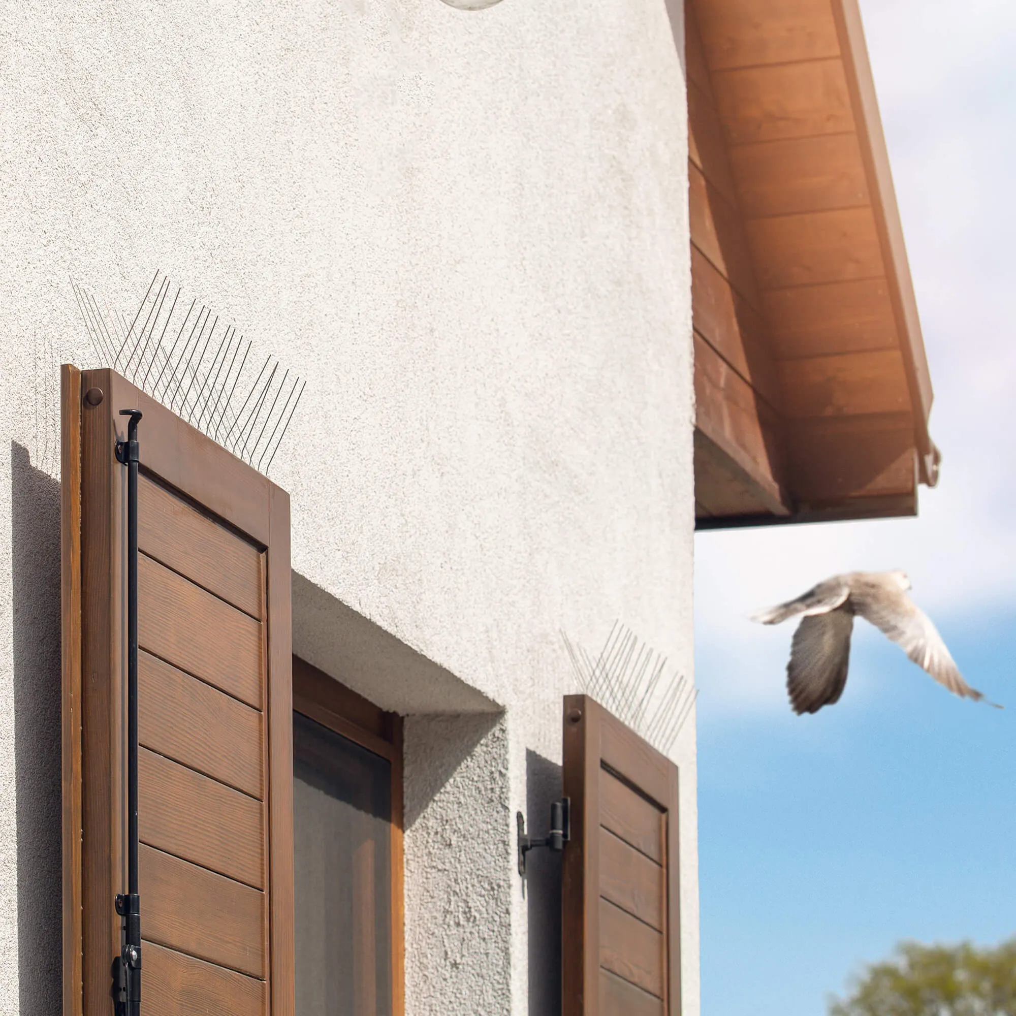 Paukščių spygliai 10 x 33 cm, 1 vnt., 24 spygliai