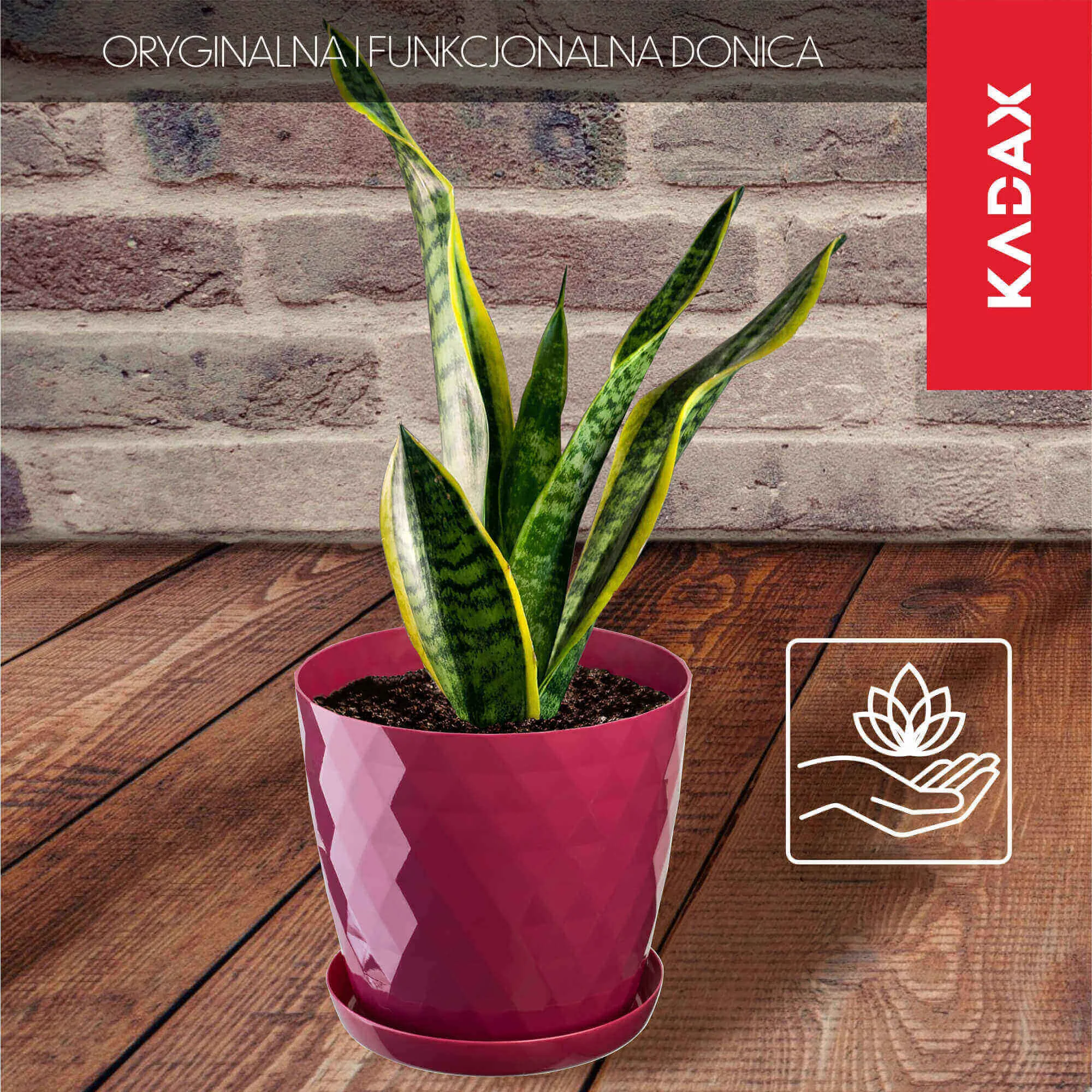 Amily gėlių vazonas su lėkštute 30 cm