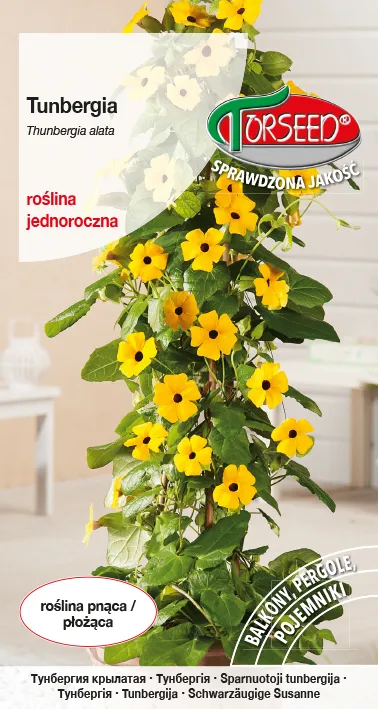 Thunbergia – Thunbergia alata vijoklinė – geltona su juoda akimi 0,5 g