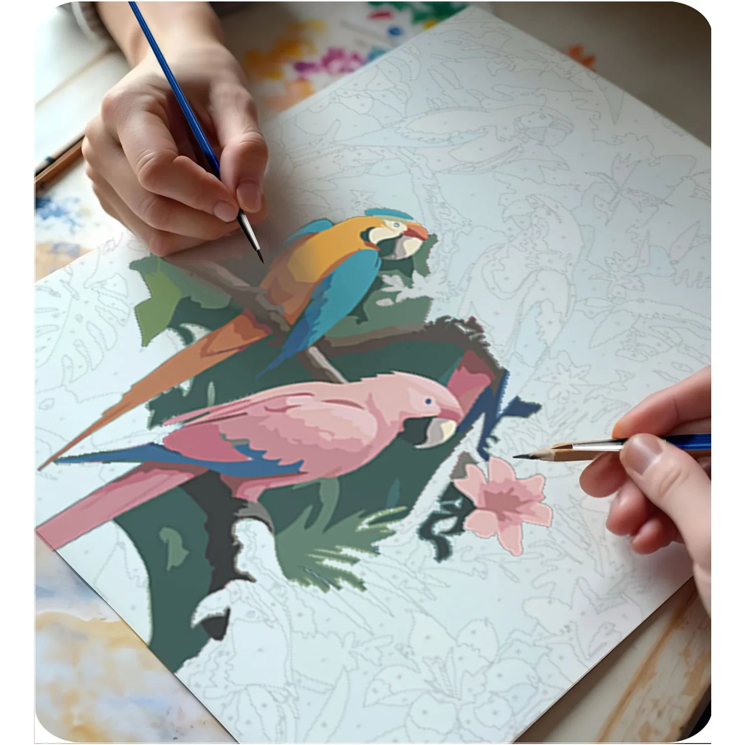 Paveikslas tapyti pagal skaičius 40x50 cm Massido Papugi - nuotrauka 1