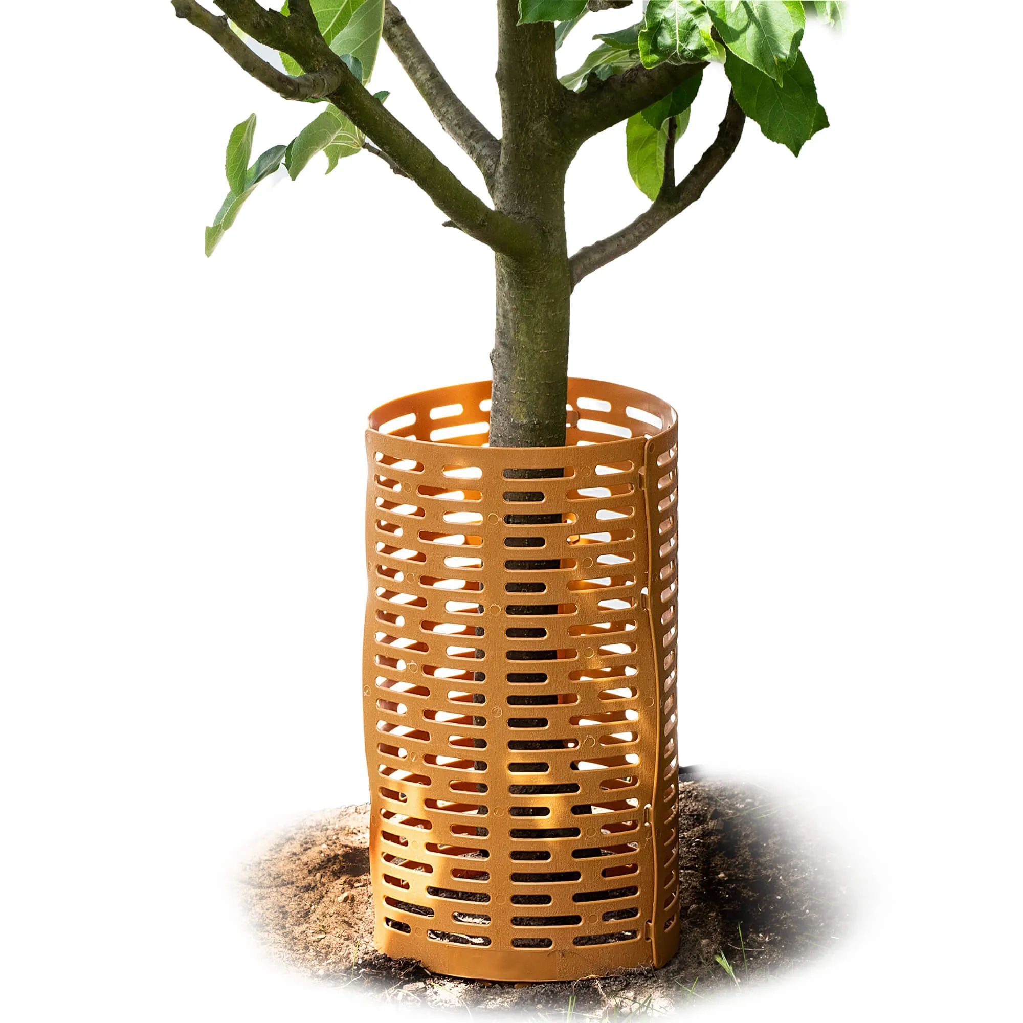 Ydes medžio kamieno uždangalai 20 x 33 cm rudi 3 vnt.