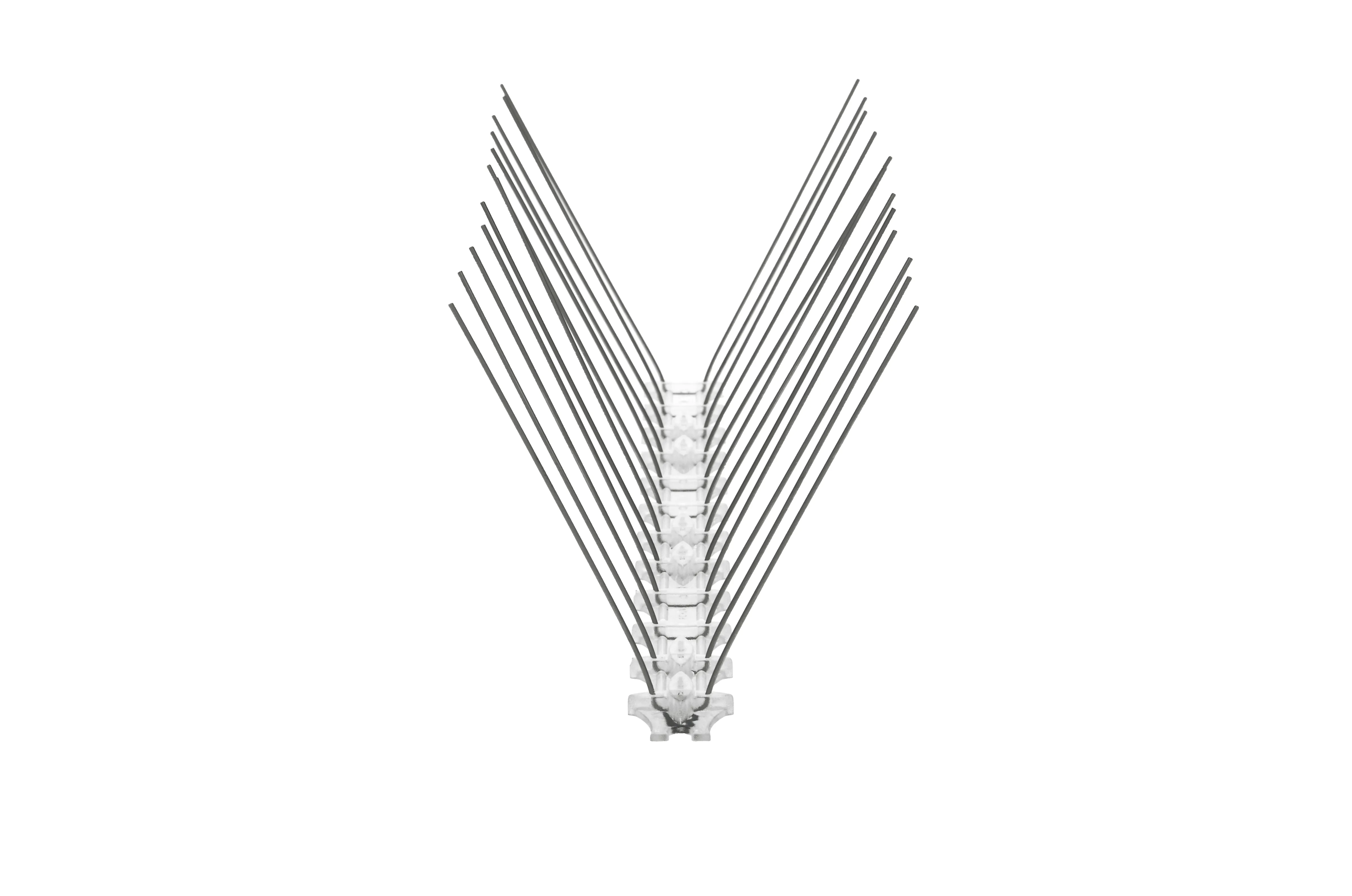 Paukščių spygliai 10 x 33 cm, 1 vnt., 24 spygliai