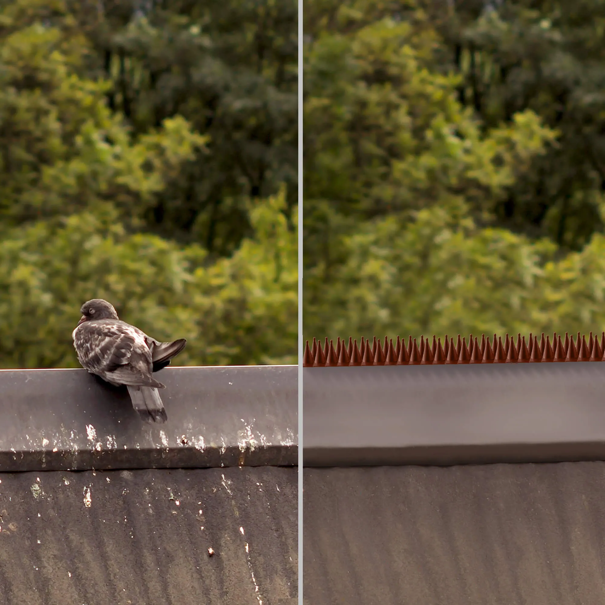 Tosta plastikiniai spygliai nuo paukščių, 50 cm, rudi, 1 vnt.