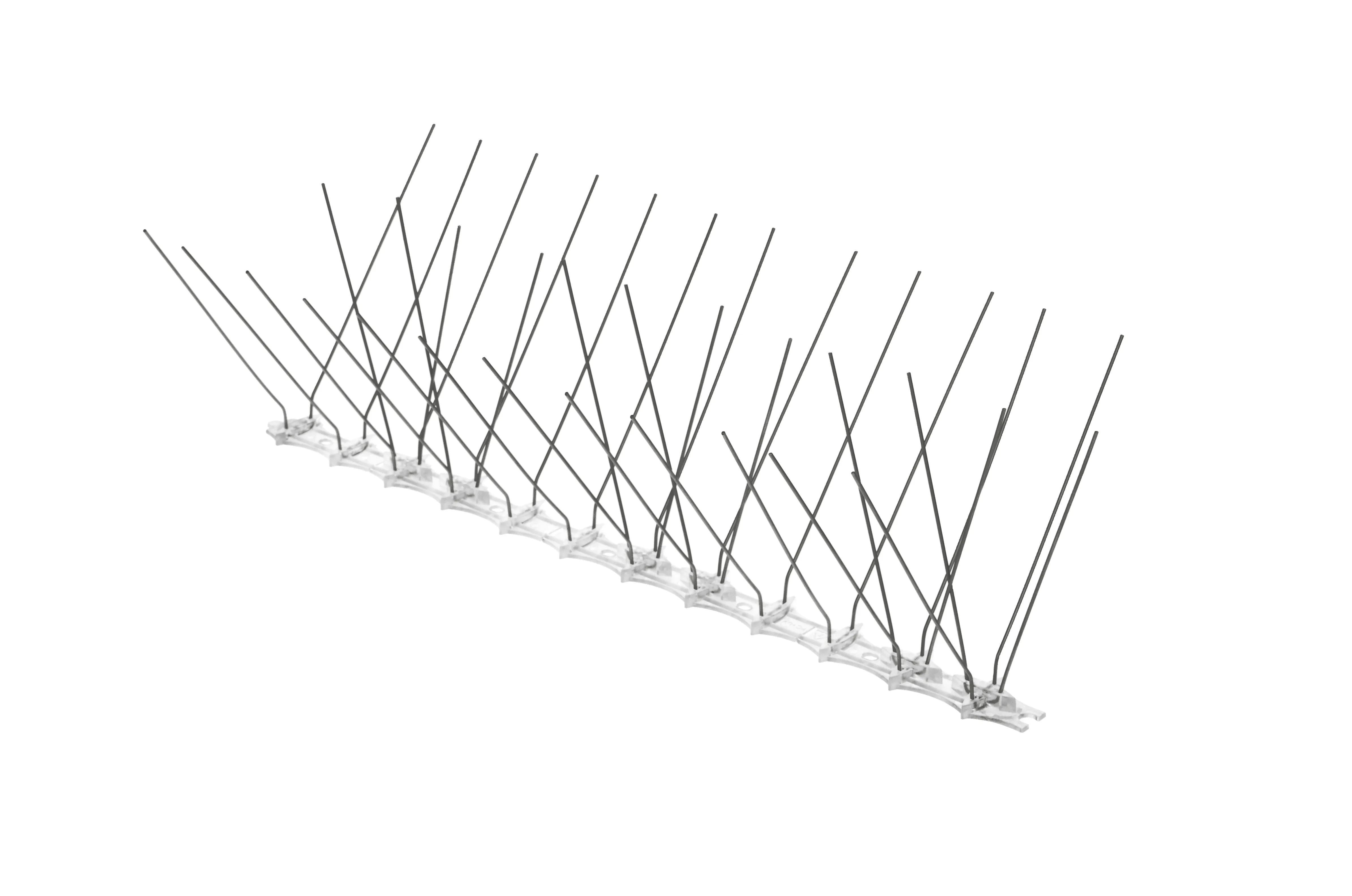 Paukščių spygliai 16 x 33 cm, 1 vnt.