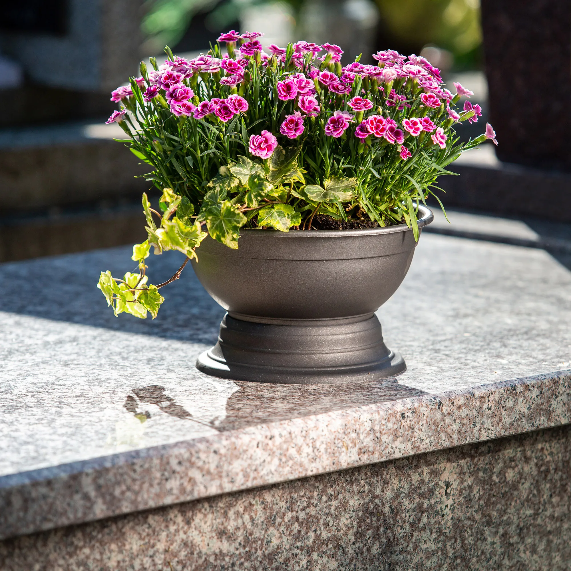 Ulmi kapinių gėlių dubuo 26 cm