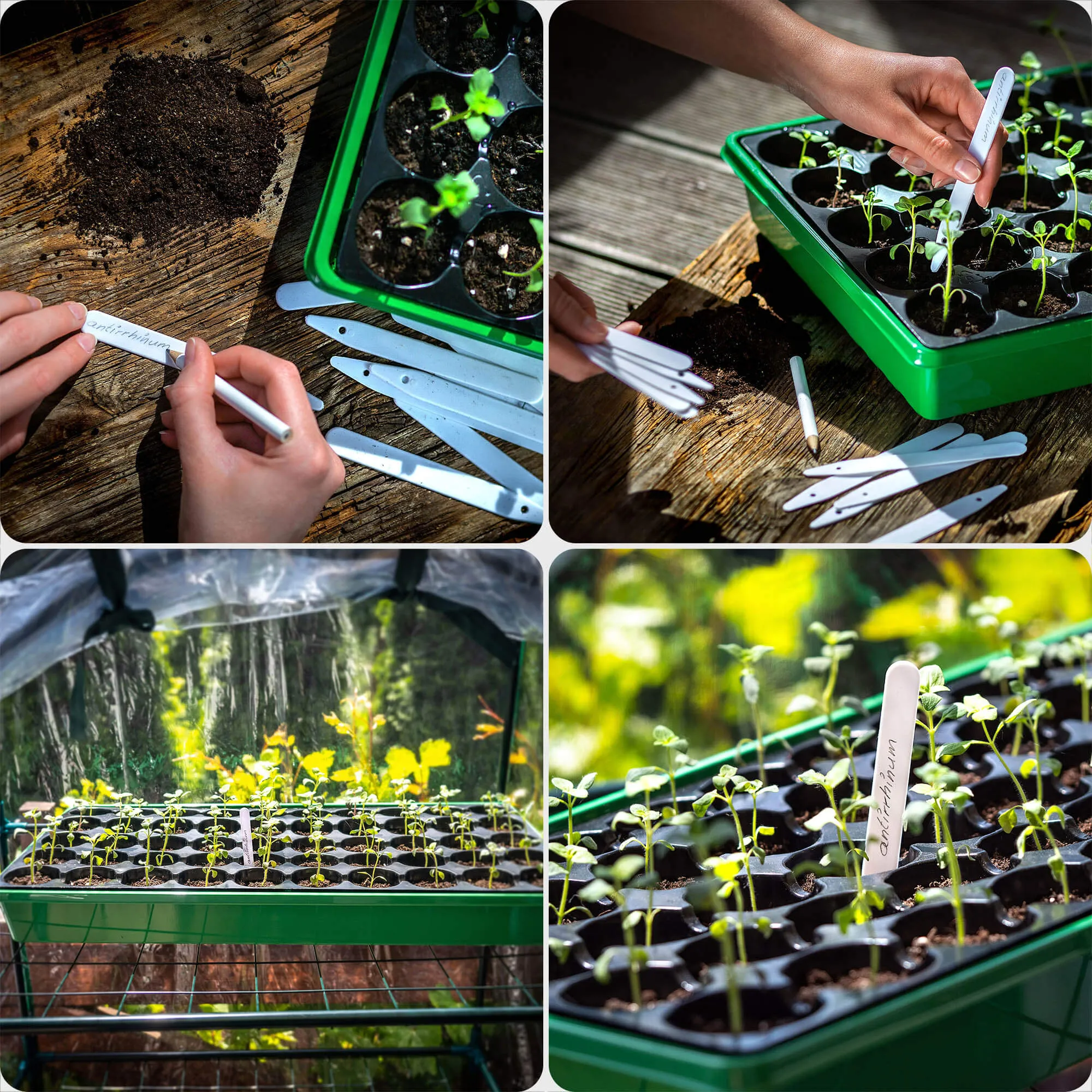 Auriac augalų žymėjimo etiketės, 30 vnt.