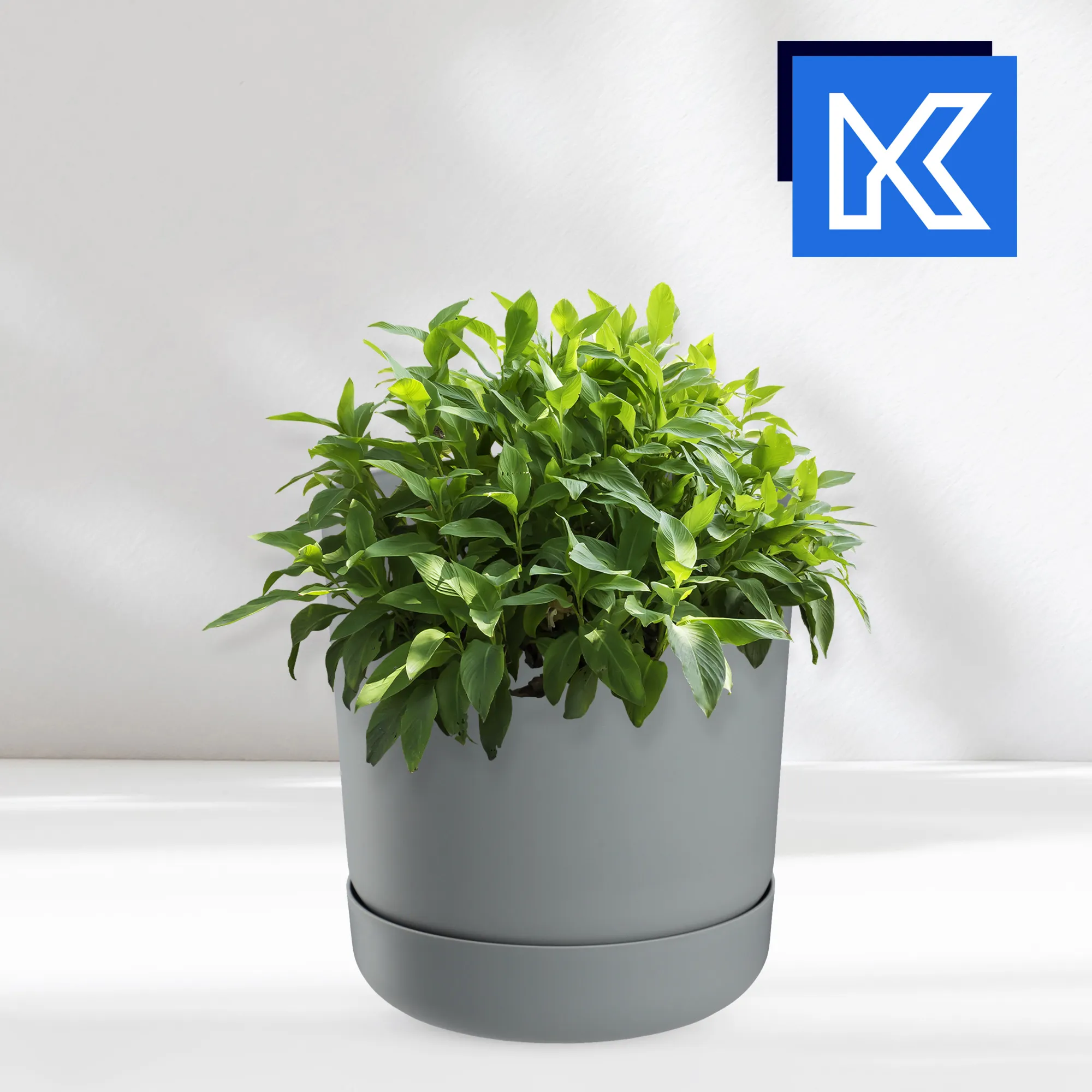 Kama vazonas su lėkštute 25 cm