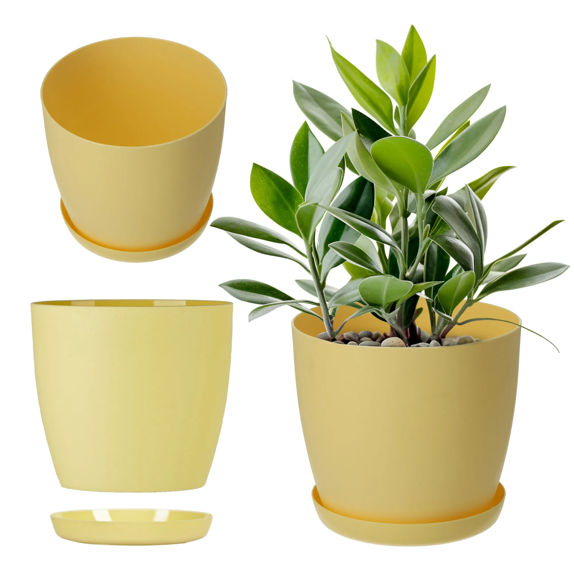 Agen vazonas su lėkštute 25 cm