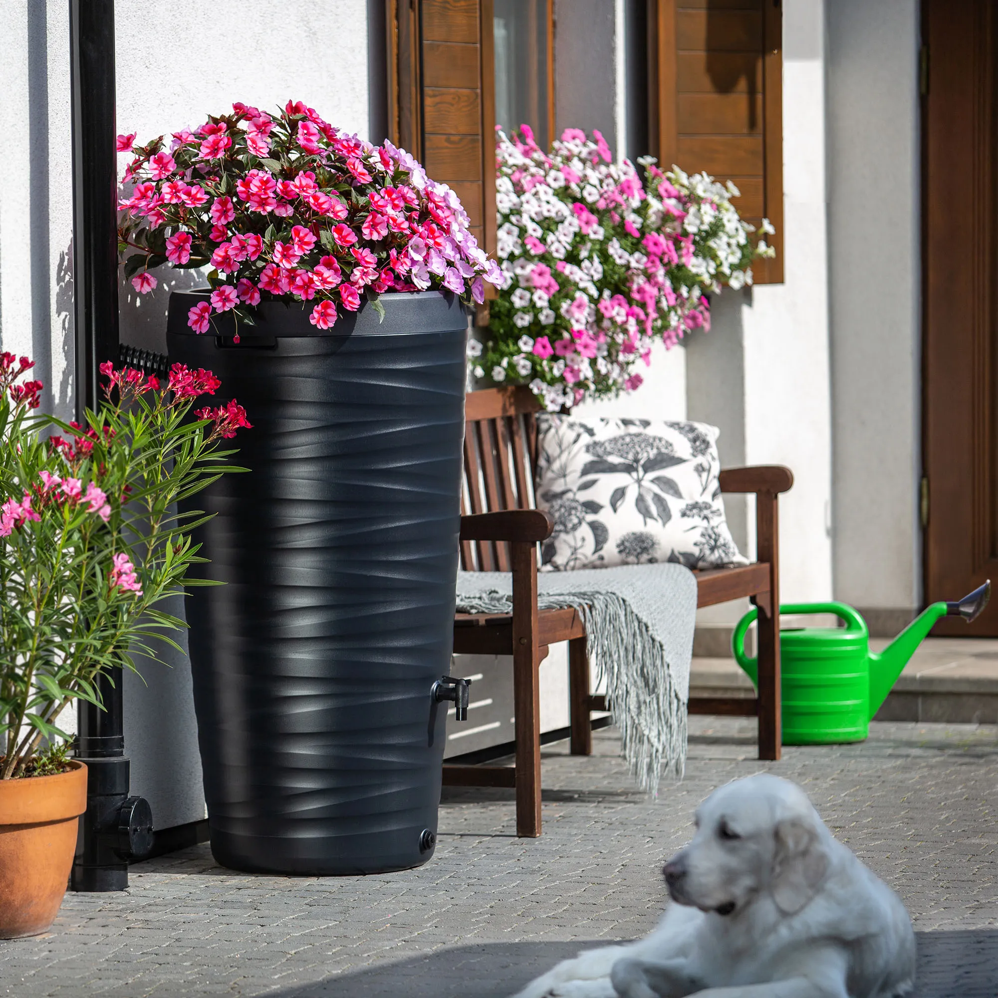 Maser 240L lietaus vandens bakas + prijungimo komplektas