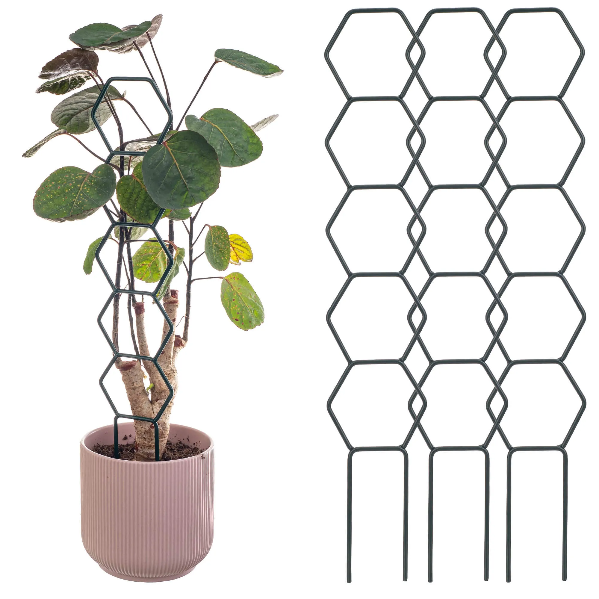 „Fora“ puodo atrama, tiesi šešiakampė, 3 vnt.