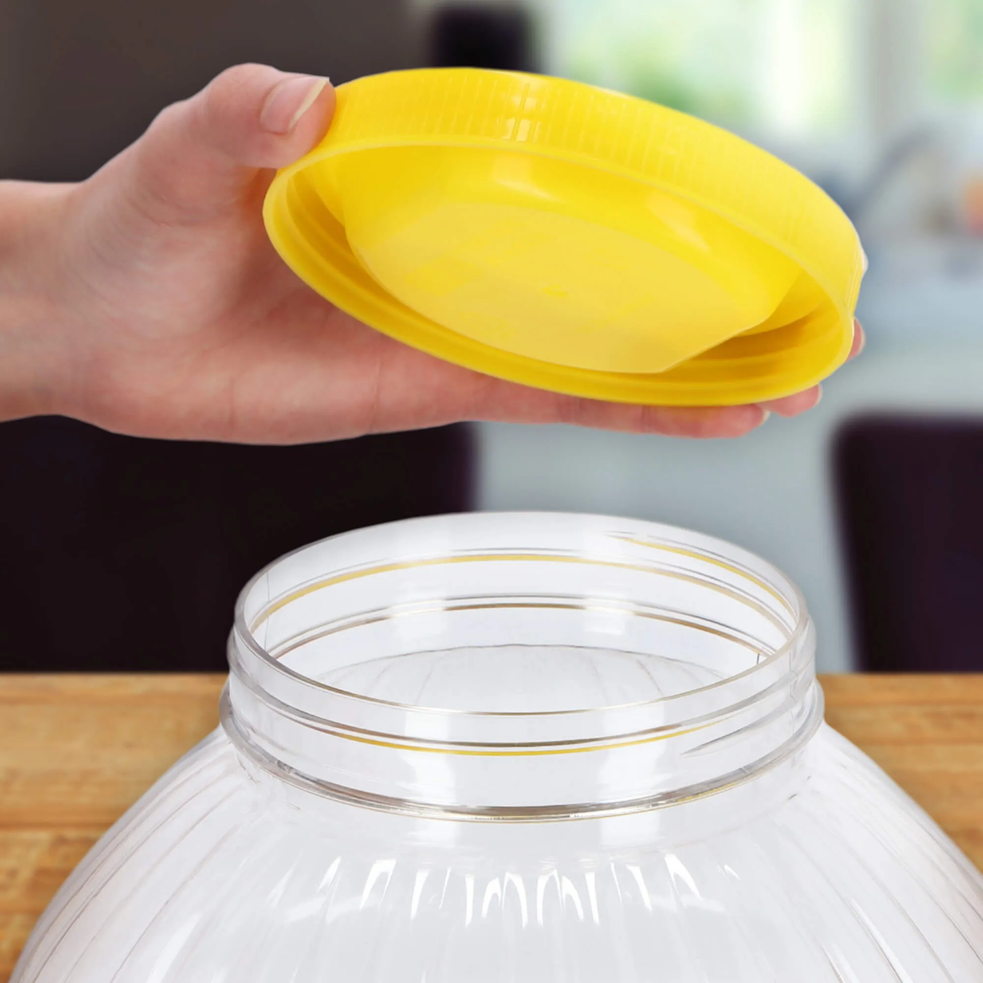 Plastikinis indas agurkams su dangteliu, 5 l