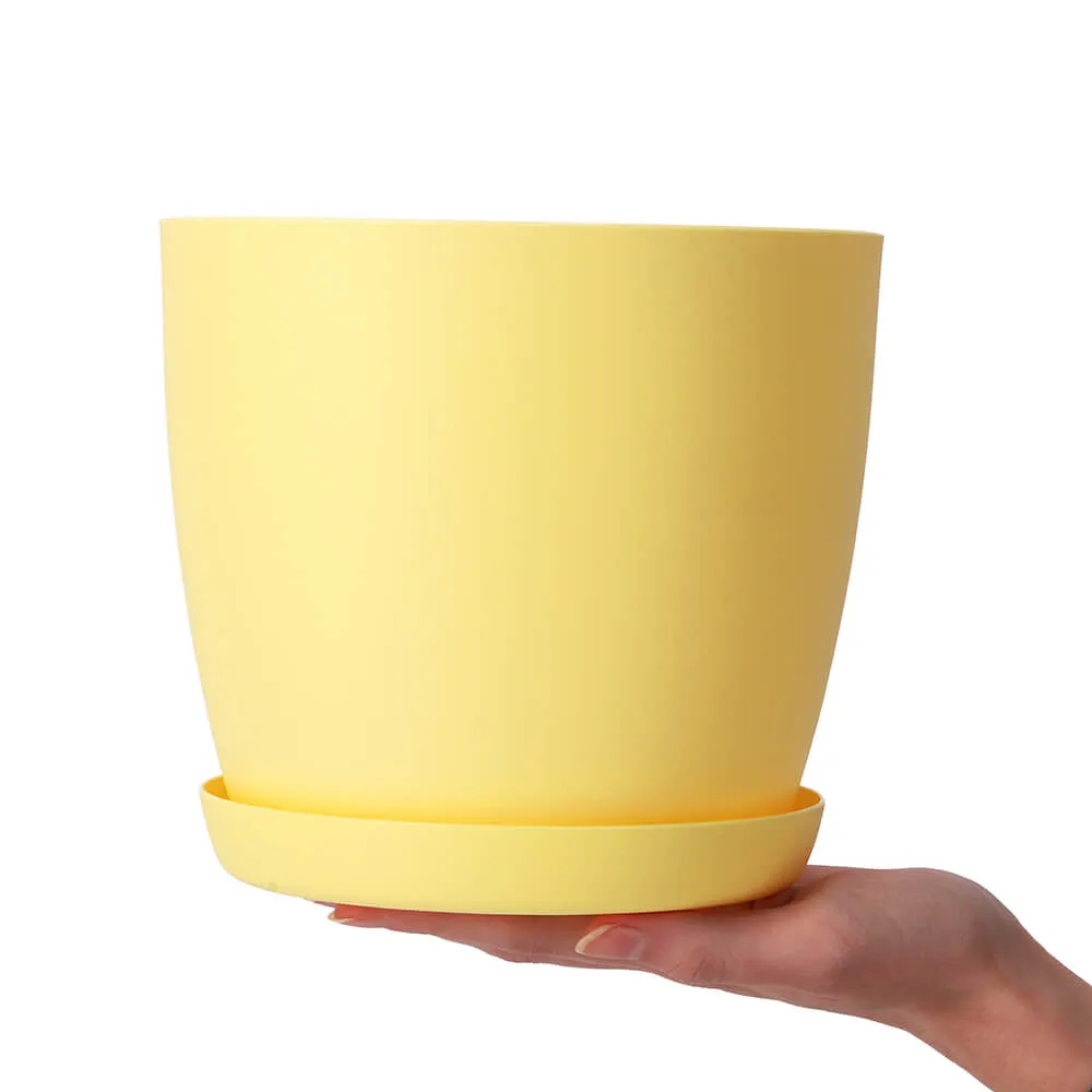 Agen vazonas su lėkštute 25 cm