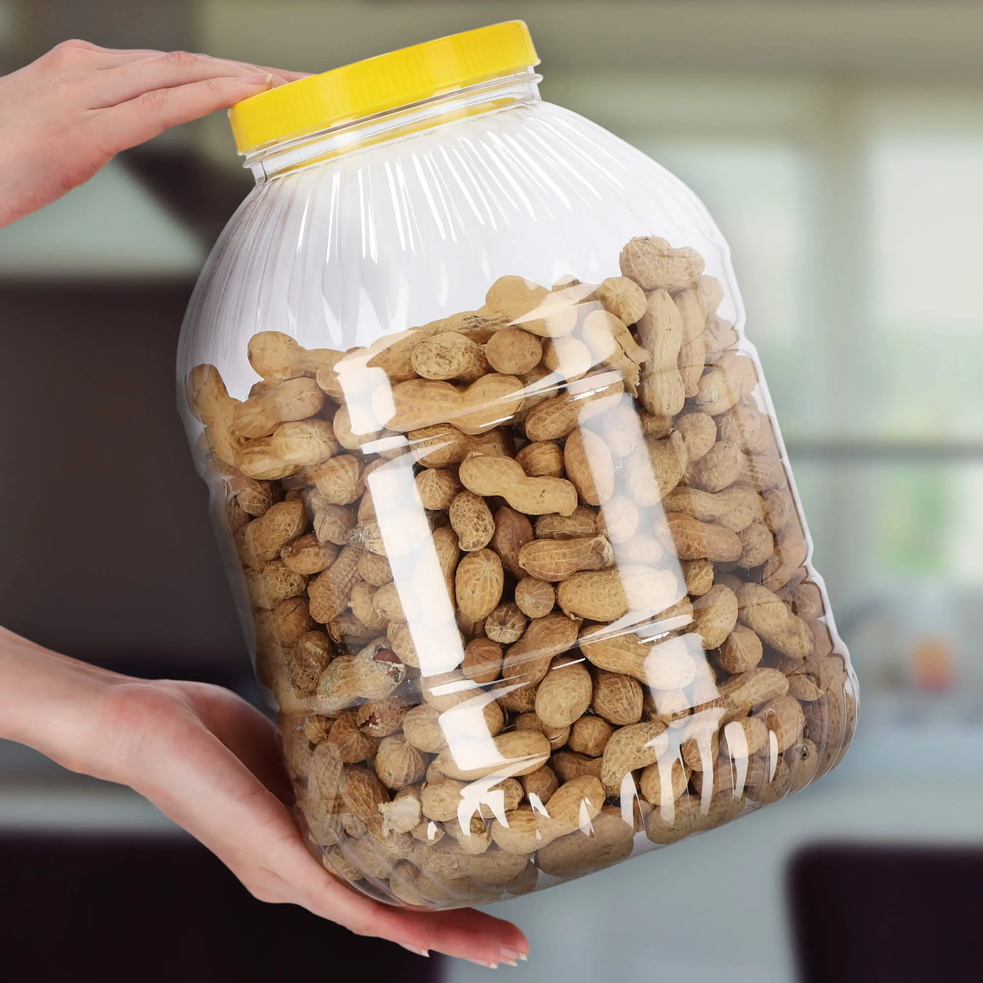 Plastikinis indas agurkams su dangteliu, 5 l