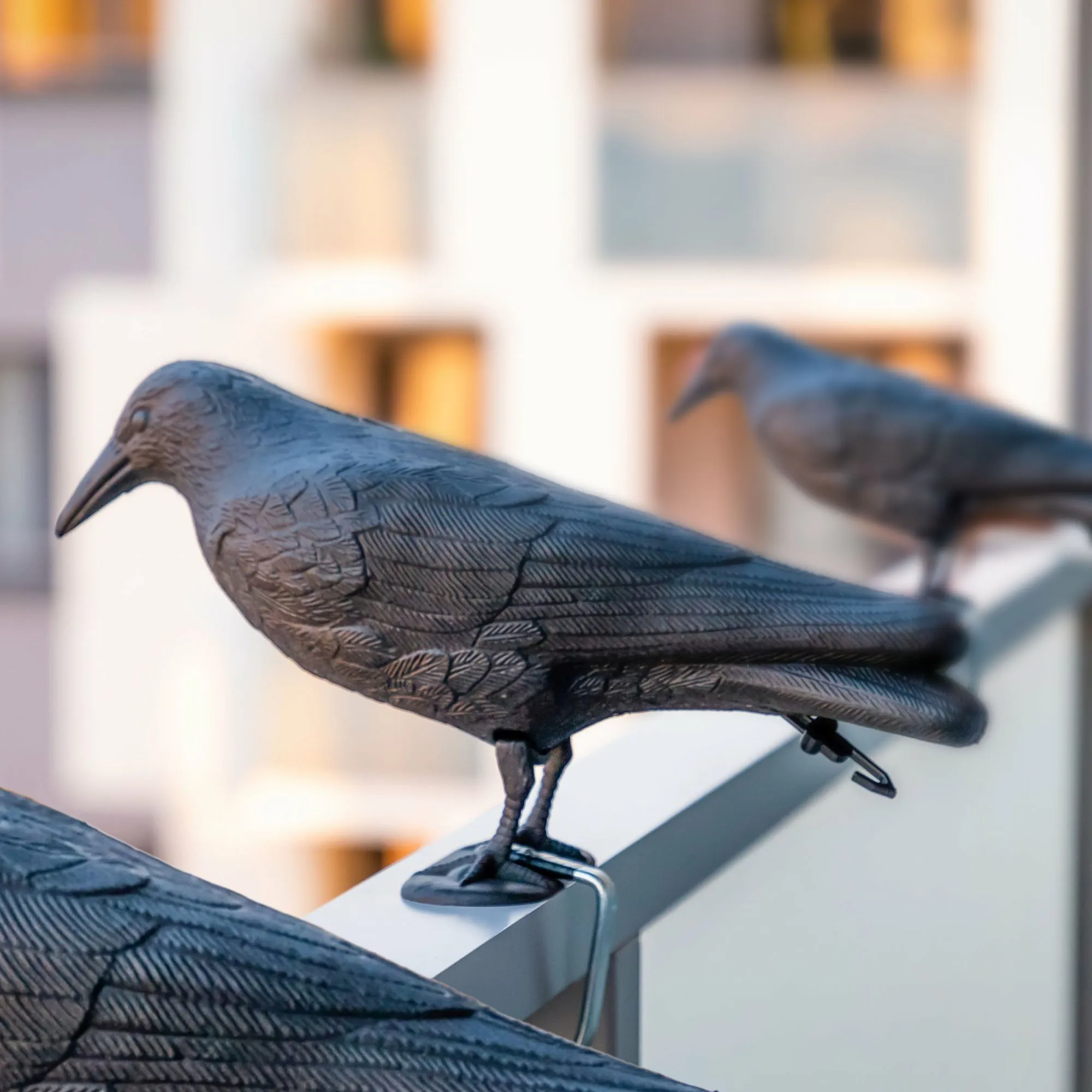 Juodojo varno paukščių baidyklė, juoda, 3 vnt.