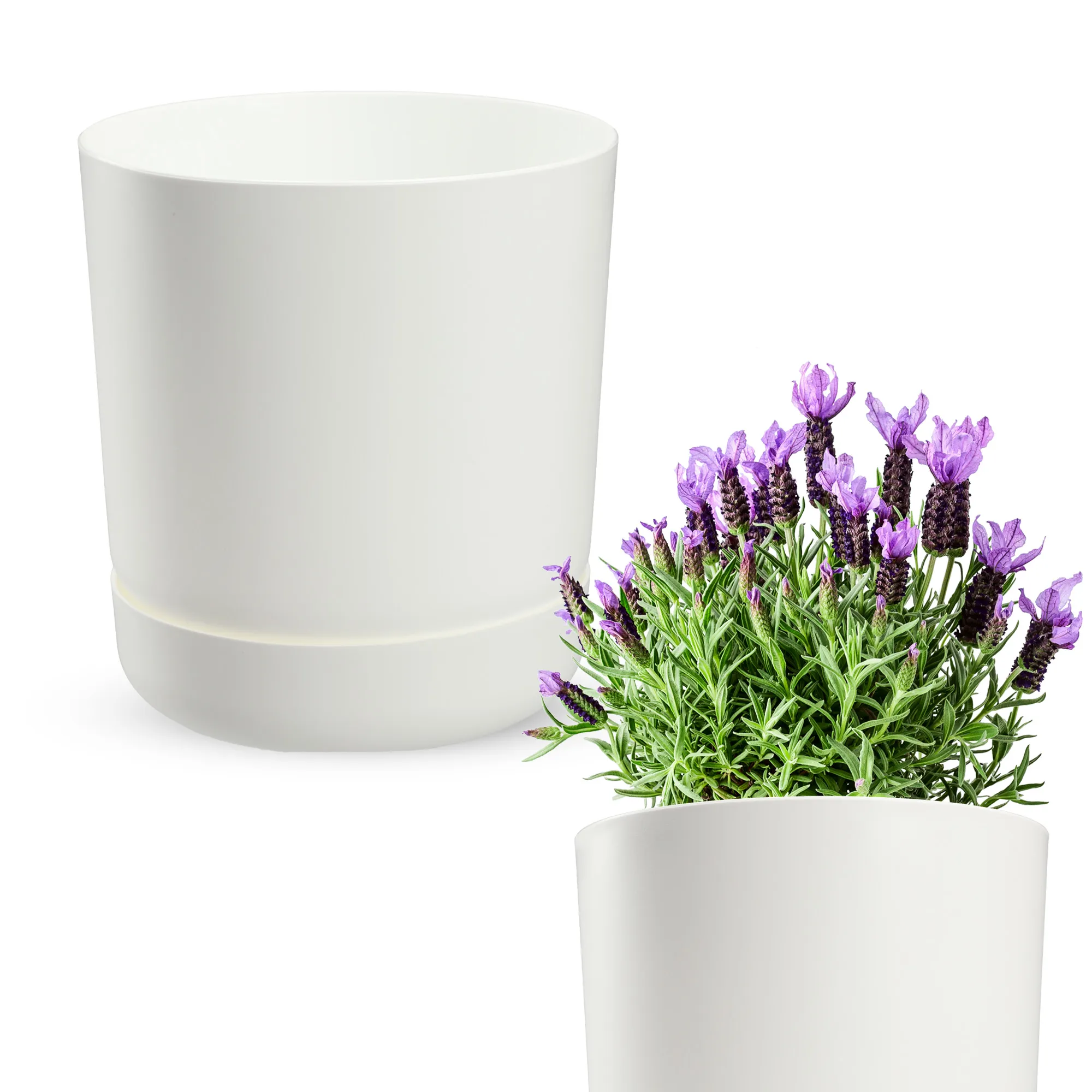 Kama vazonas su lėkštute 13 cm