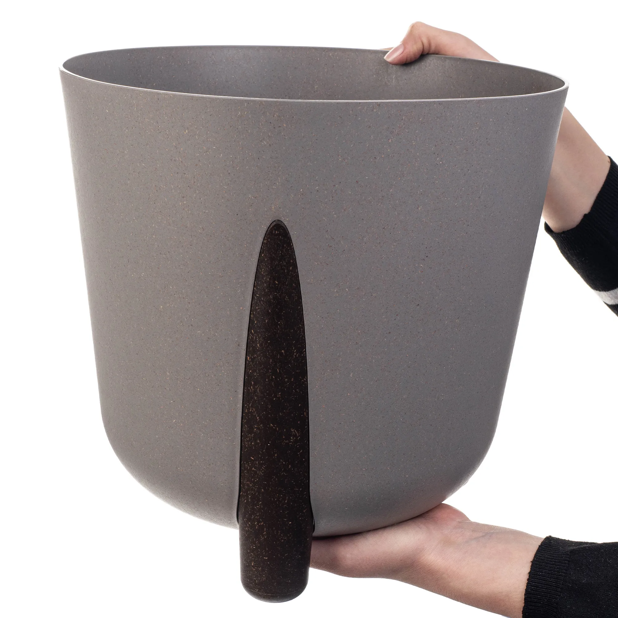 Nauze vazonas