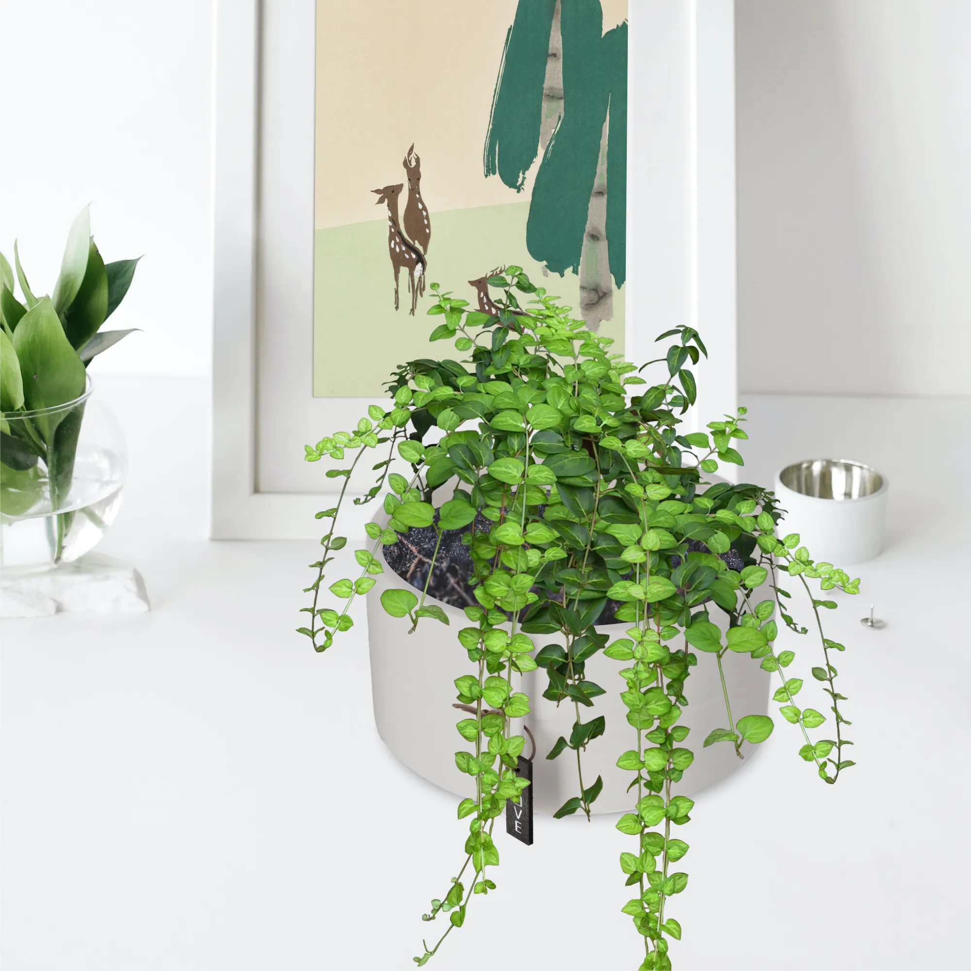 Keramikinis dangtelis 18 x 9 cm