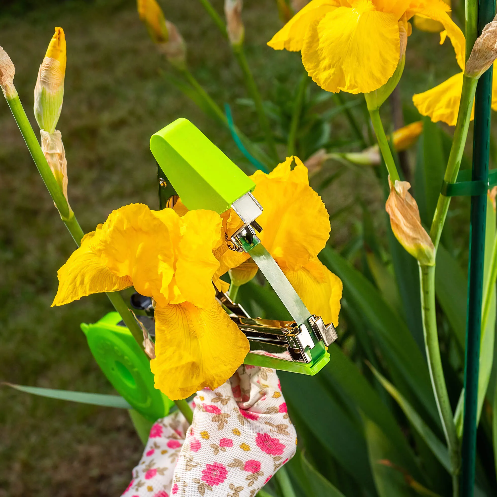 Larret sodo segiklio juostų rinkinys, 11 mm x 25 m, žalios, 20 vnt.