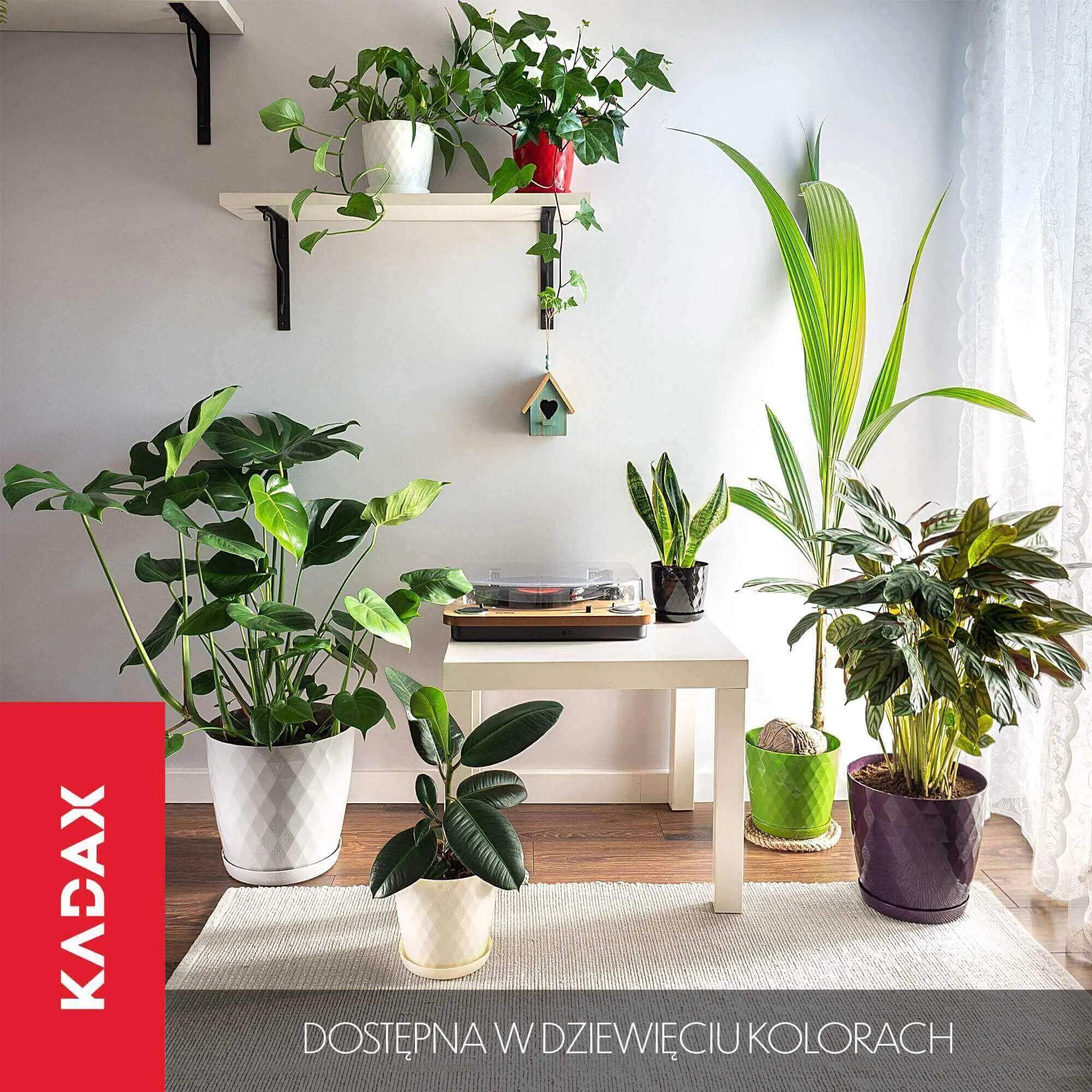Amily gėlių vazonas su lėkštute 18 cm