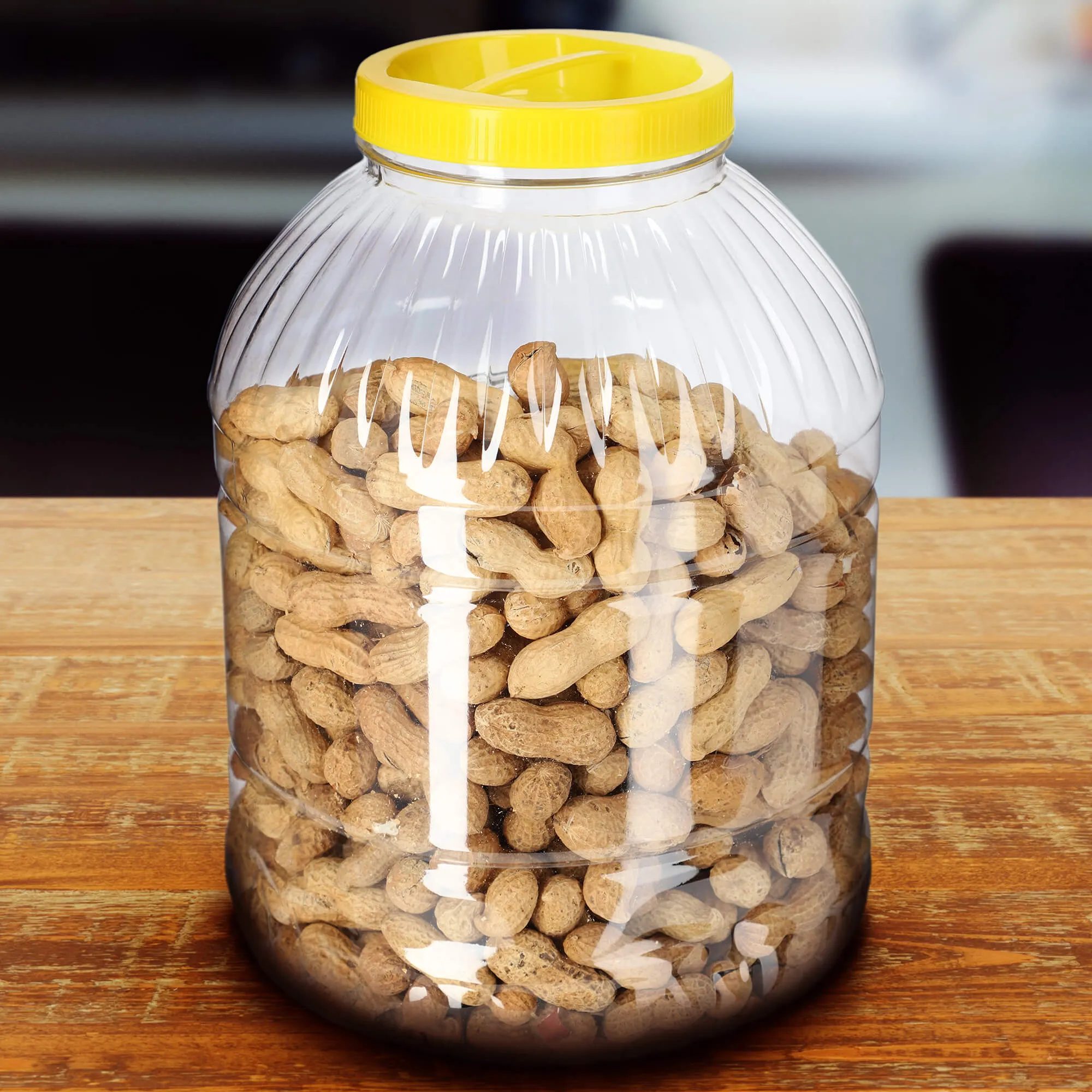 Plastikinis indas agurkams su dangteliu, 5 l