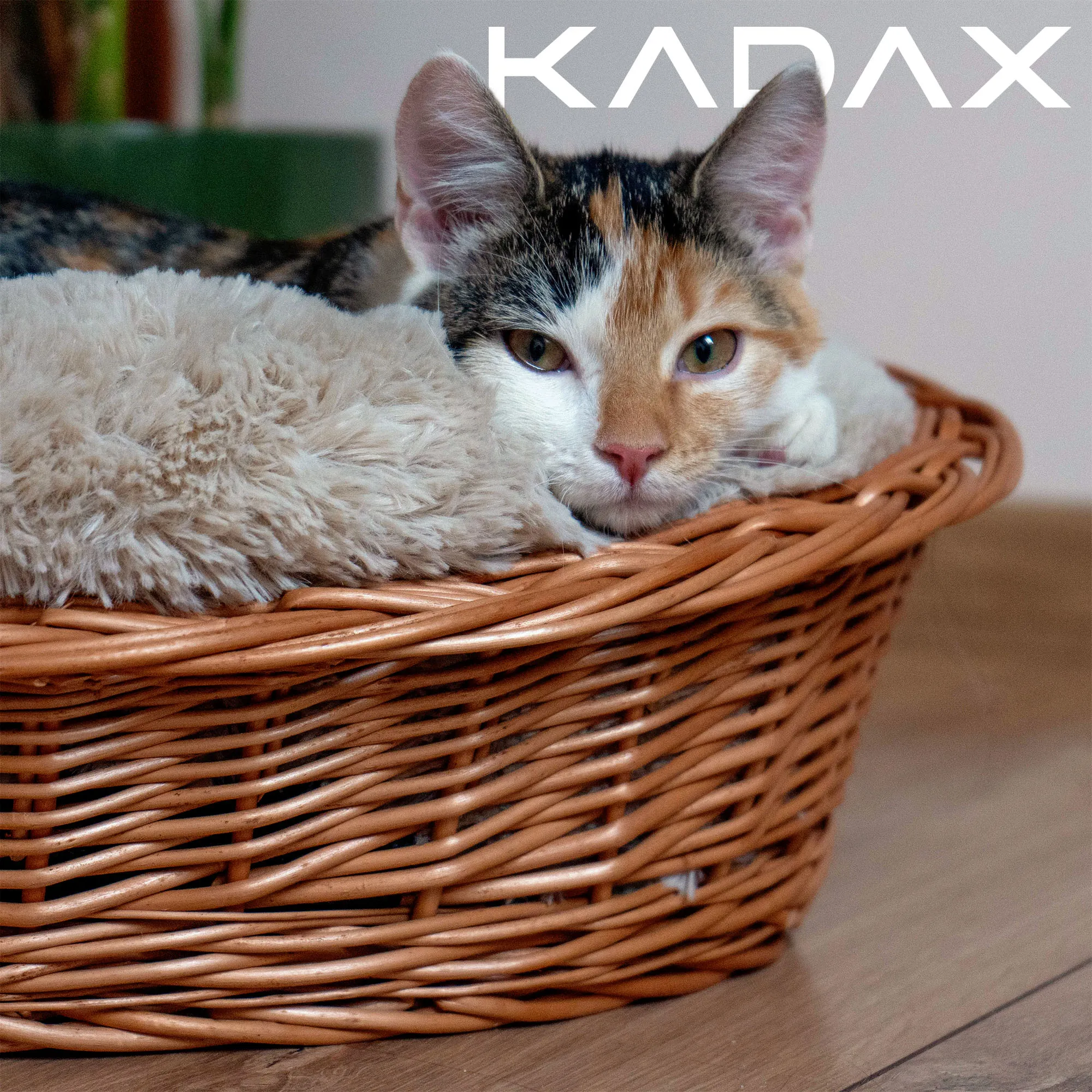 Bardi pintas šezlongas 65 x 12 cm, natūralus