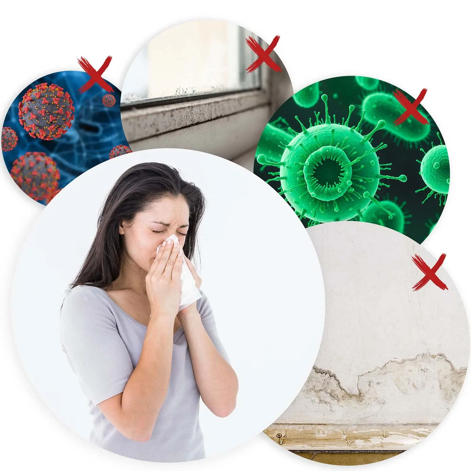 Berdsen BD-528 oro sausintuvas - drėgmės sugėriklis - nuotrauka 1