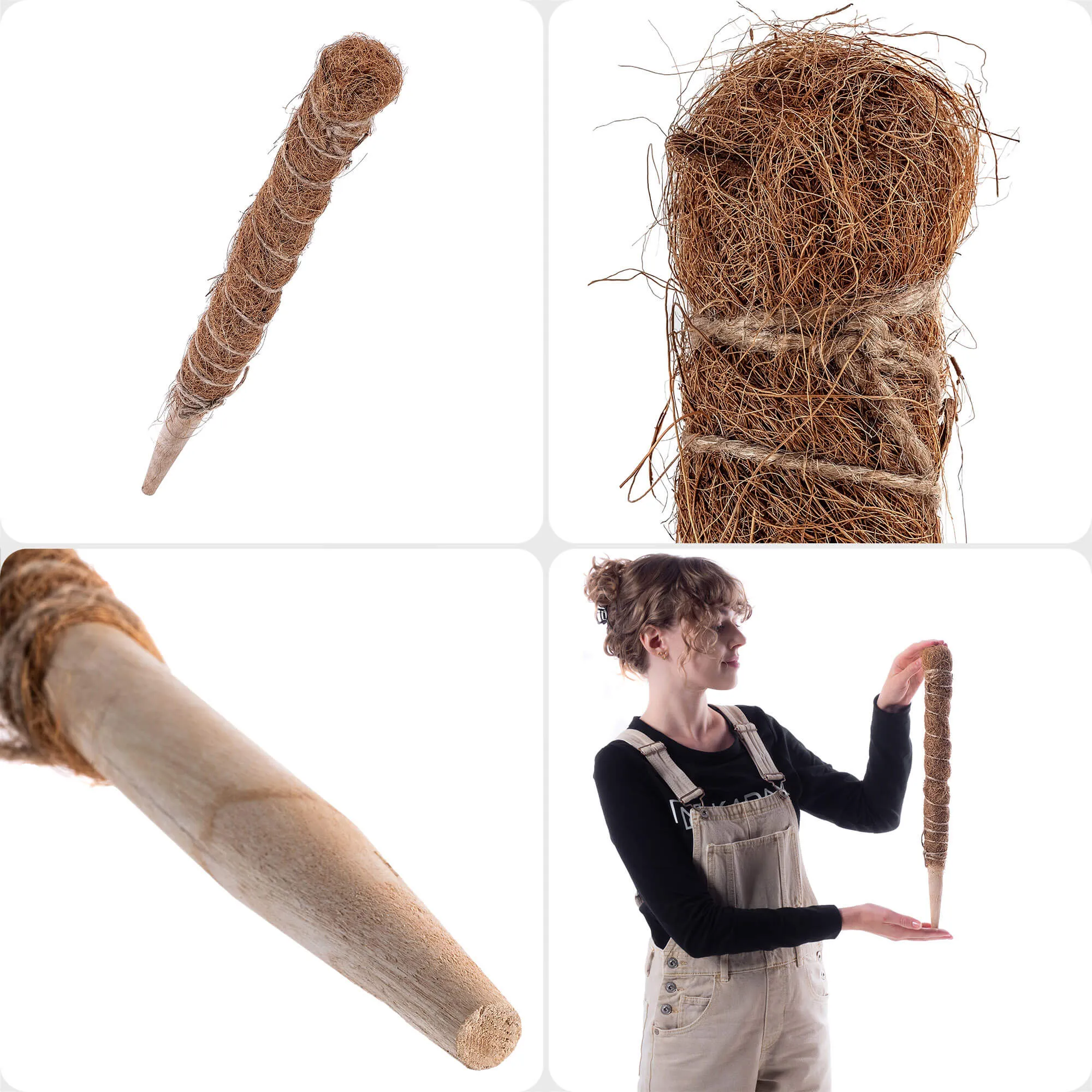 „Cande“ kokoso augalo kuolas, 45 cm, vazono atrama, 1 vnt.