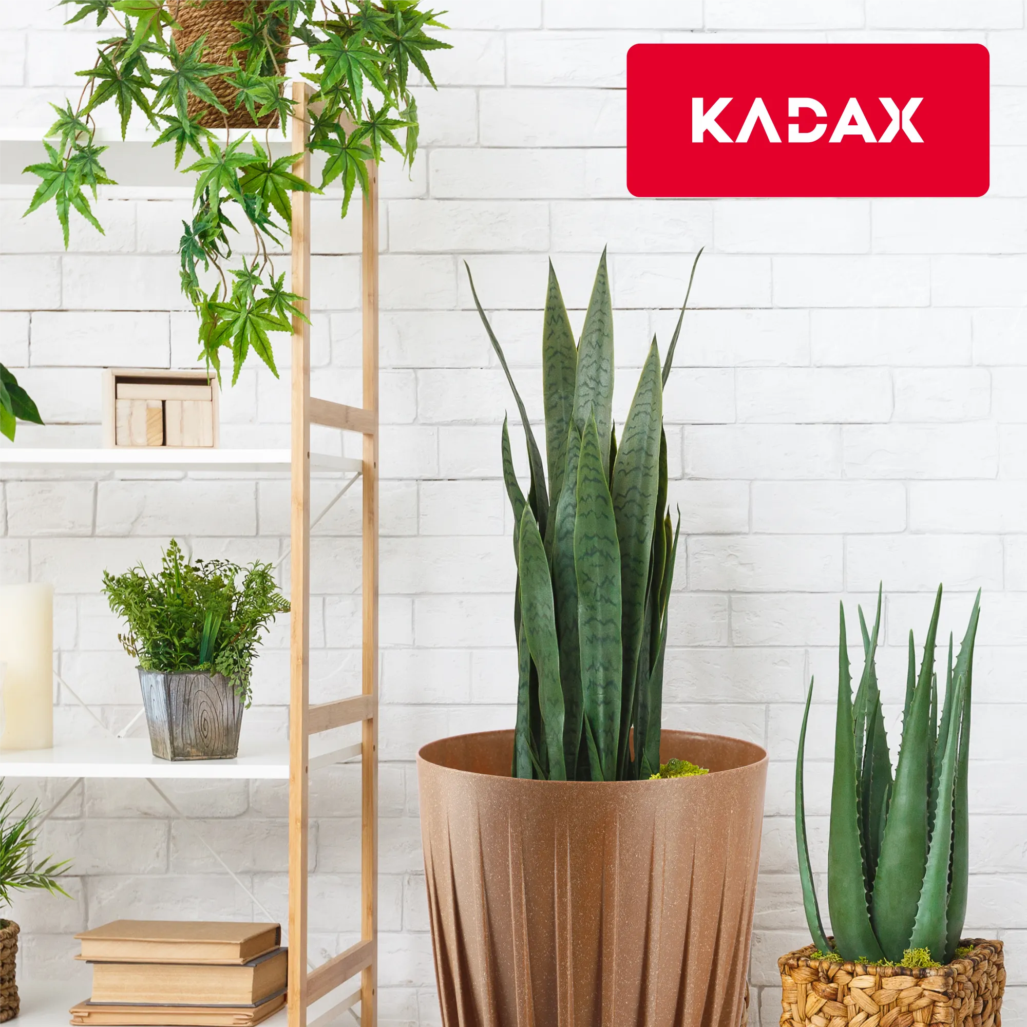 Costa ekologiškas vazonas su įdėklu 19 cm