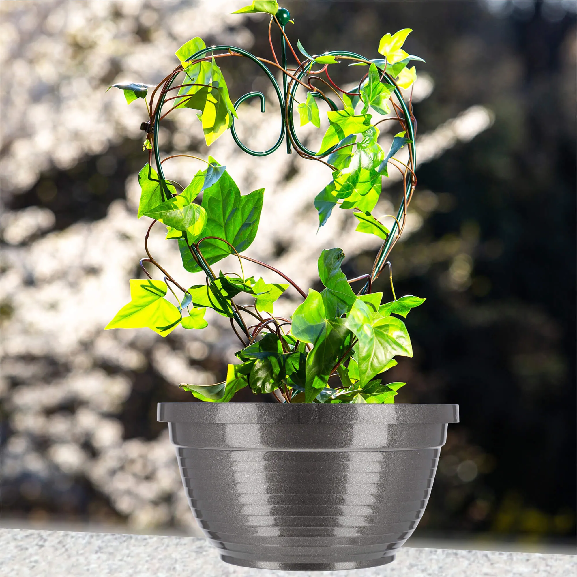 Verrna kapinių gėlių dubuo 26 x 12 cm