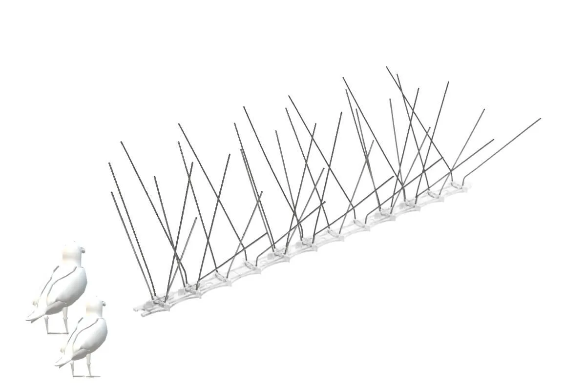 Paukščių spygliai 33 x 10 cm, 1 vnt.