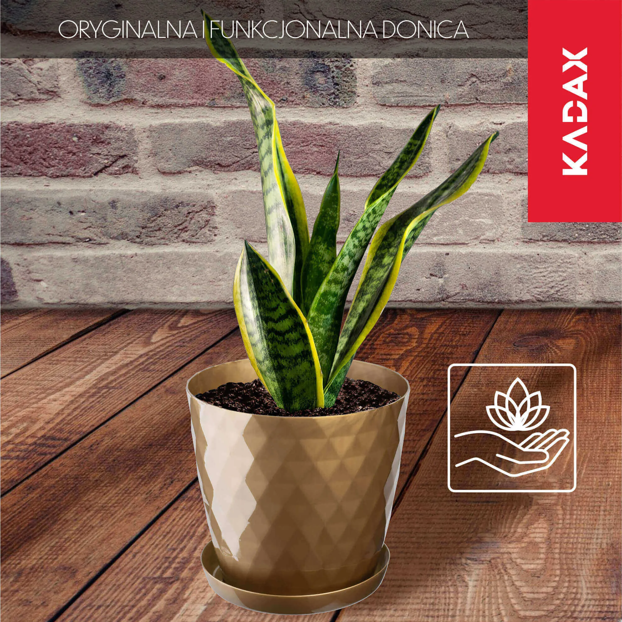 Amily gėlių vazonas su lėkštute 18 cm