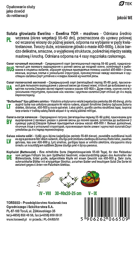 Sviestinės salotos (auginimui tuneliuose ir lauke) Ewelina TOR 0,5 g