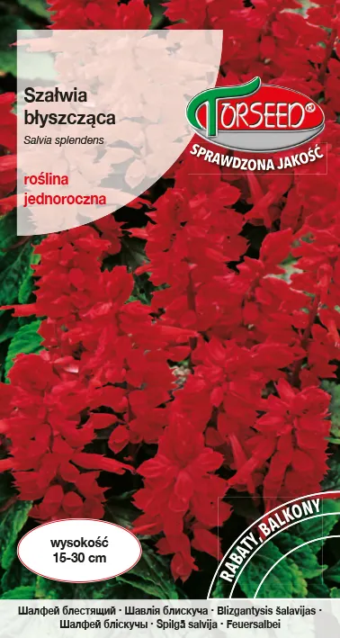 Blizgusis šalavijas – Salvia splendens raudoni atspalviai 0,5 g