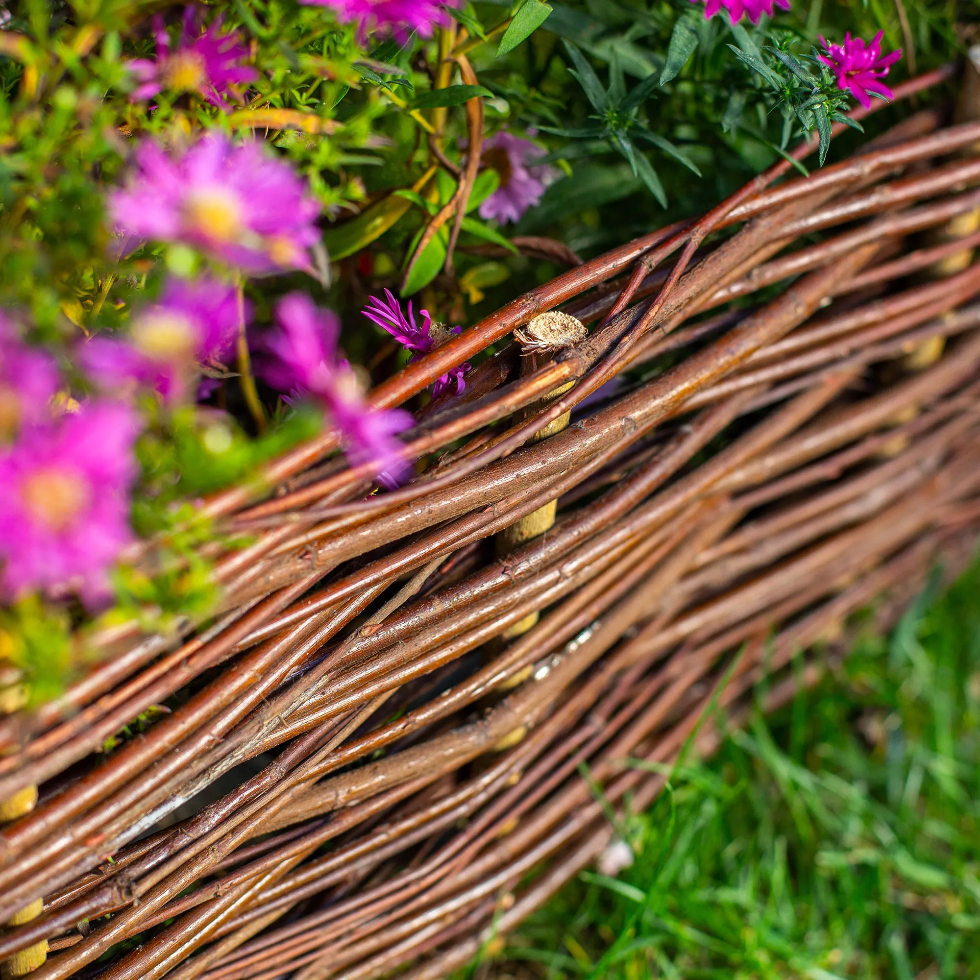 Hamre pintinė sodo palisade 120 x 40 cm