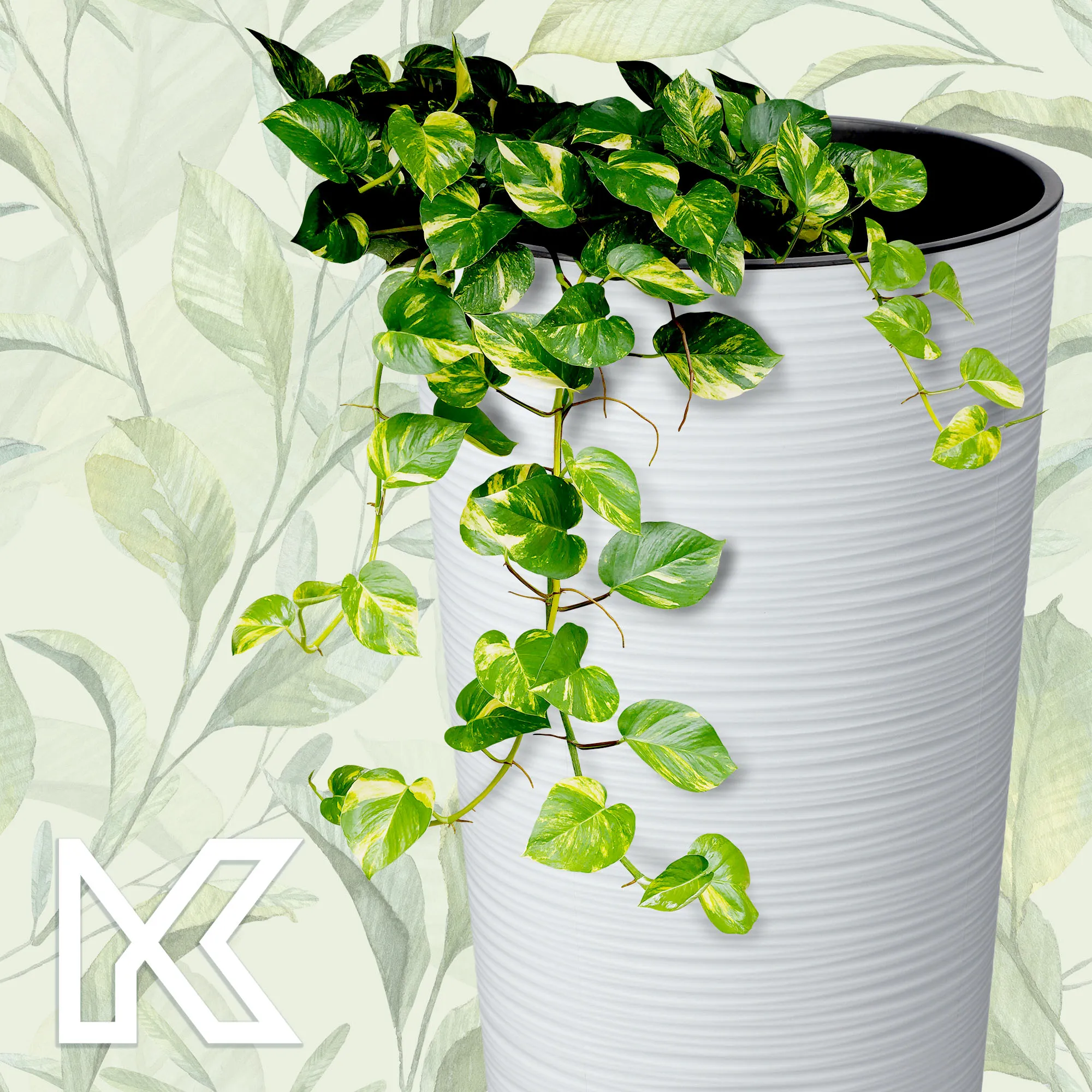 Gėlių vazonai su kaltu 19 cm + 25 cm + 30 cm, balti