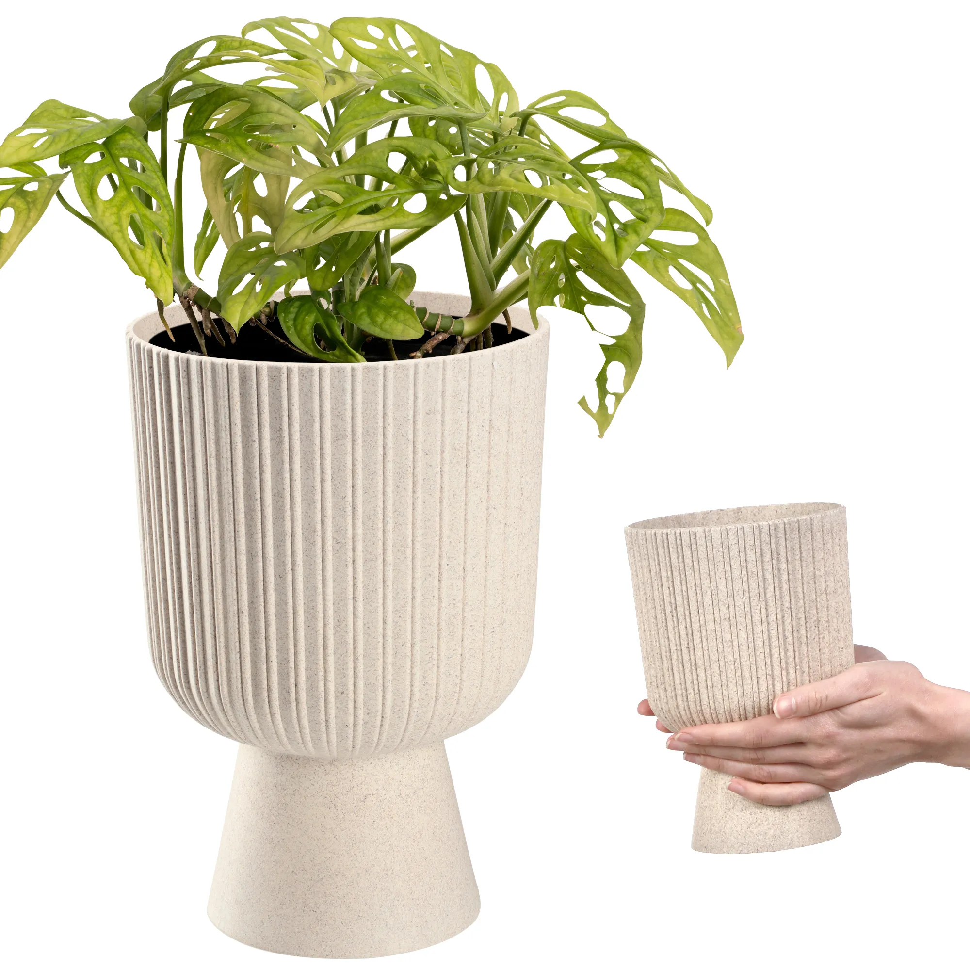Golem Eco vazonas ant koto, 14 cm, baltas