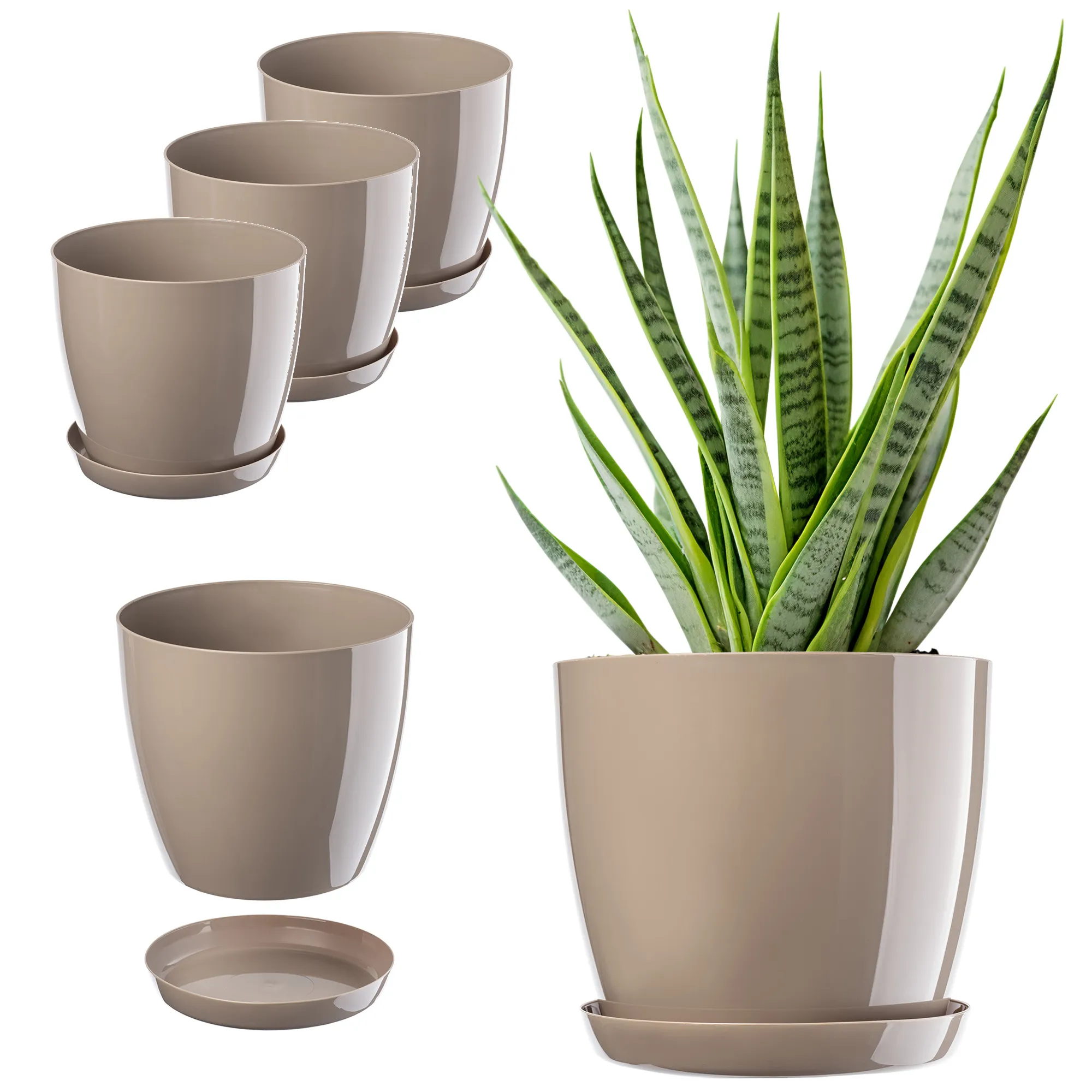 Agen gėlių vazonas su smėlio spalvos lėkštute