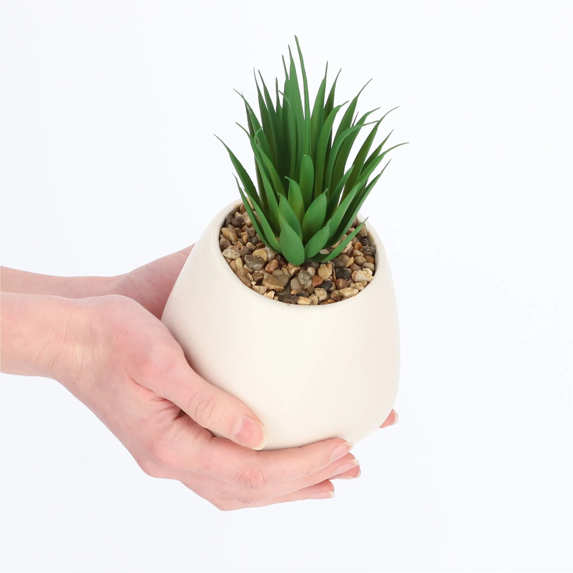 Dirbtinis sukulentas, 10,5 cm, baltas