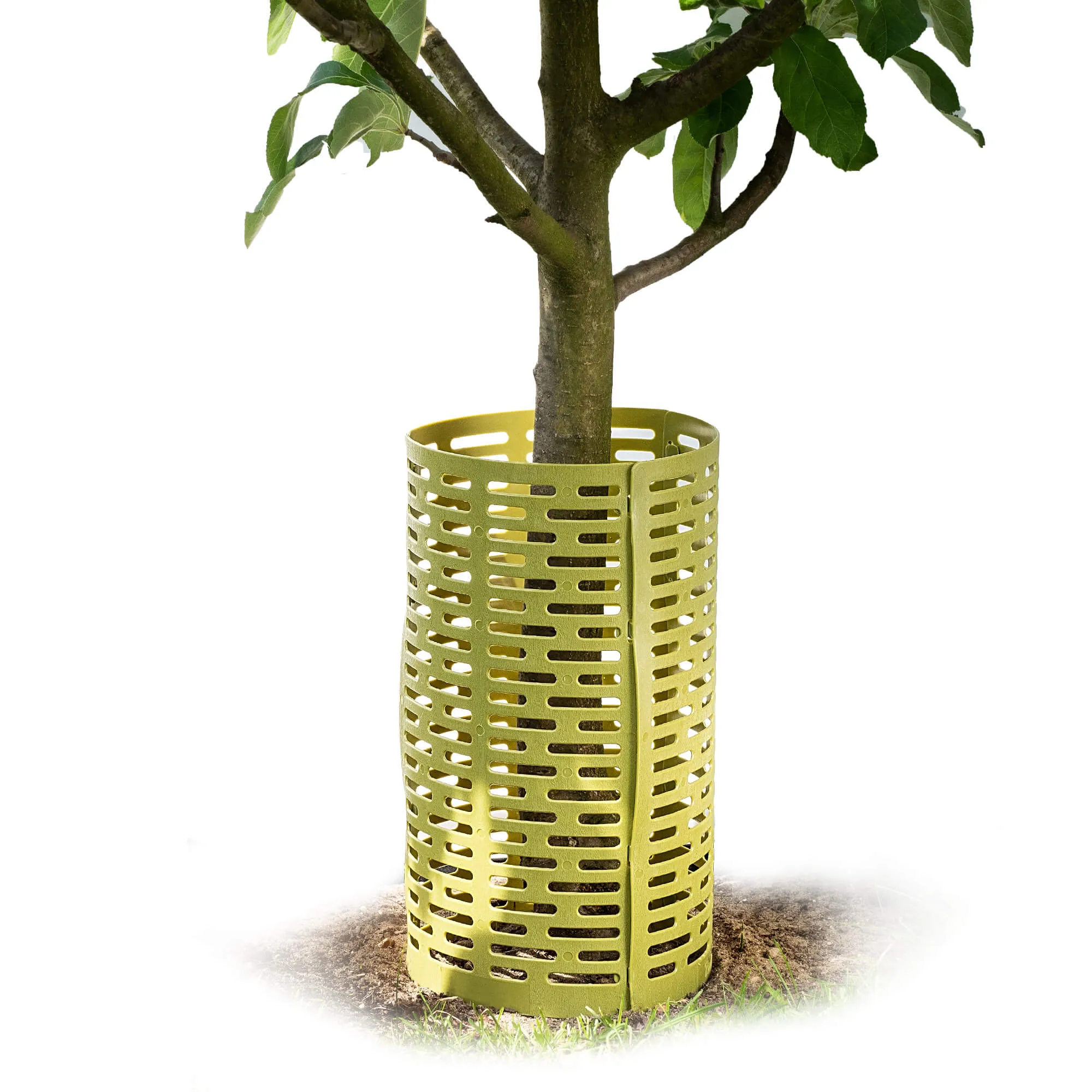 Ydes medžio kamieno uždangalai 20 x 33 cm žali 6 vnt.