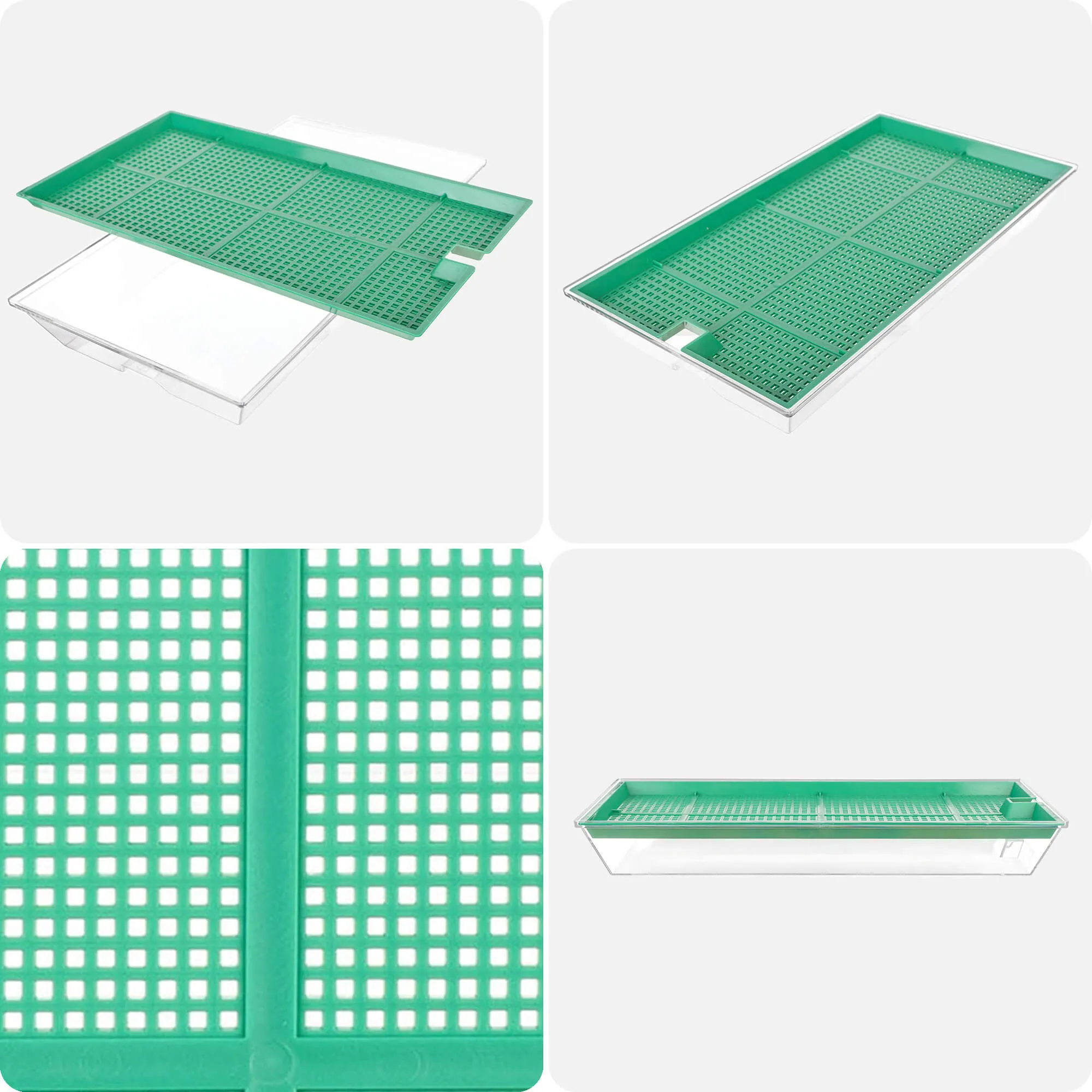 Clion daiginimo įrenginys didelis 27 x 15 cm žalias