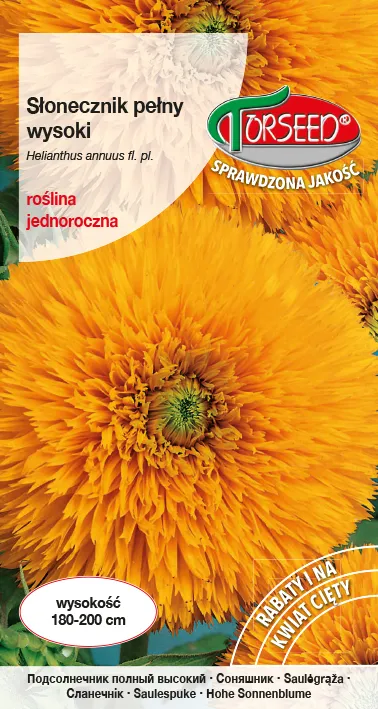 Žydintis saulėgrąžos žiedas – Helianthus annuus aukštaūgis – geltonas 2g