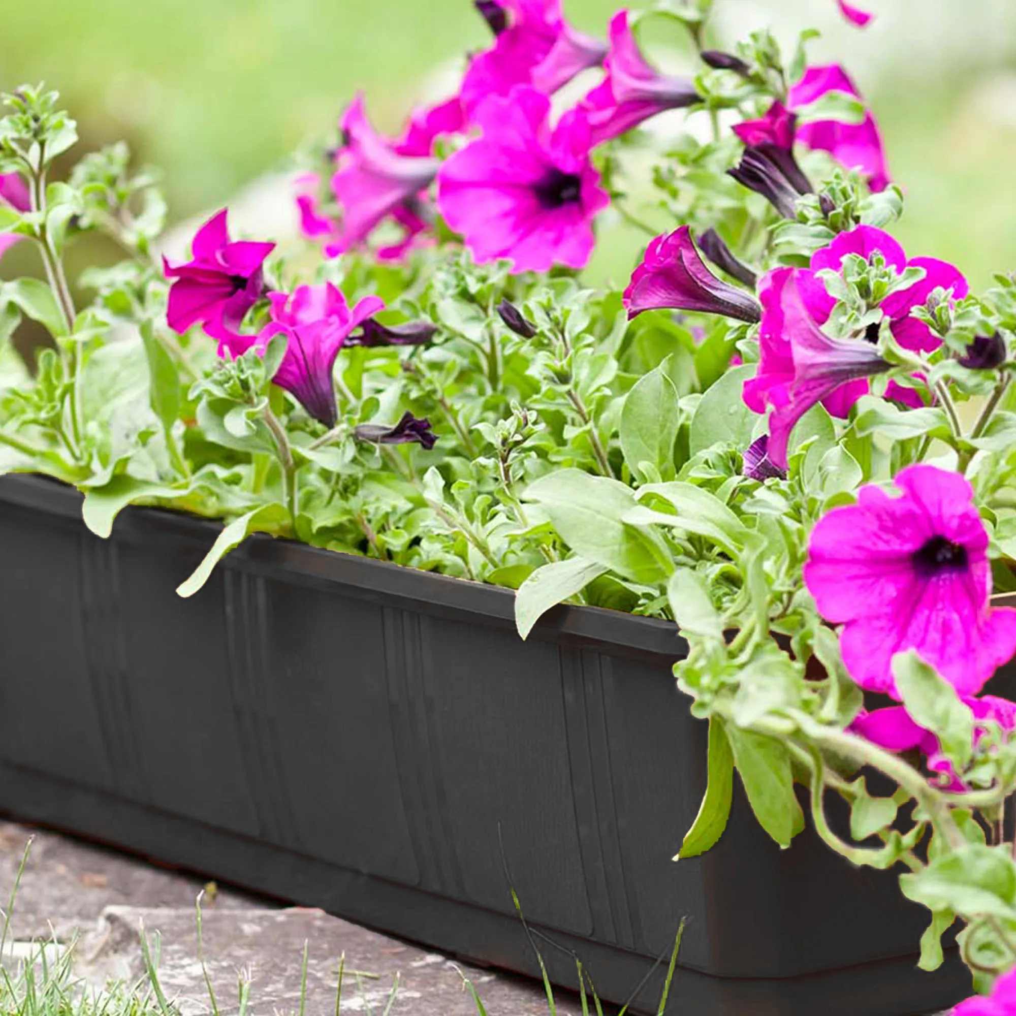 Balkoninis vazonas su rankenėlėmis grafito spalvos Oste 40 cm