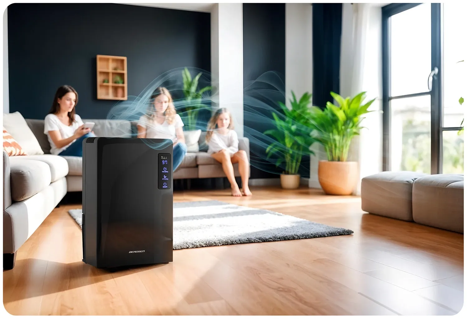 Berdsen BR-22A juodas oro sausintuvas - drėgmės sugėriklis - nuotrauka 1